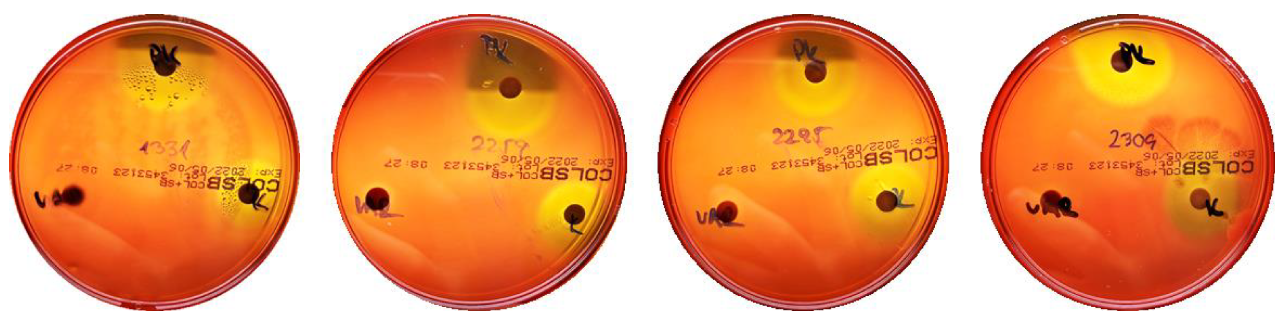 Ijms 23 15045 g002 Ijms 23 15045 g002