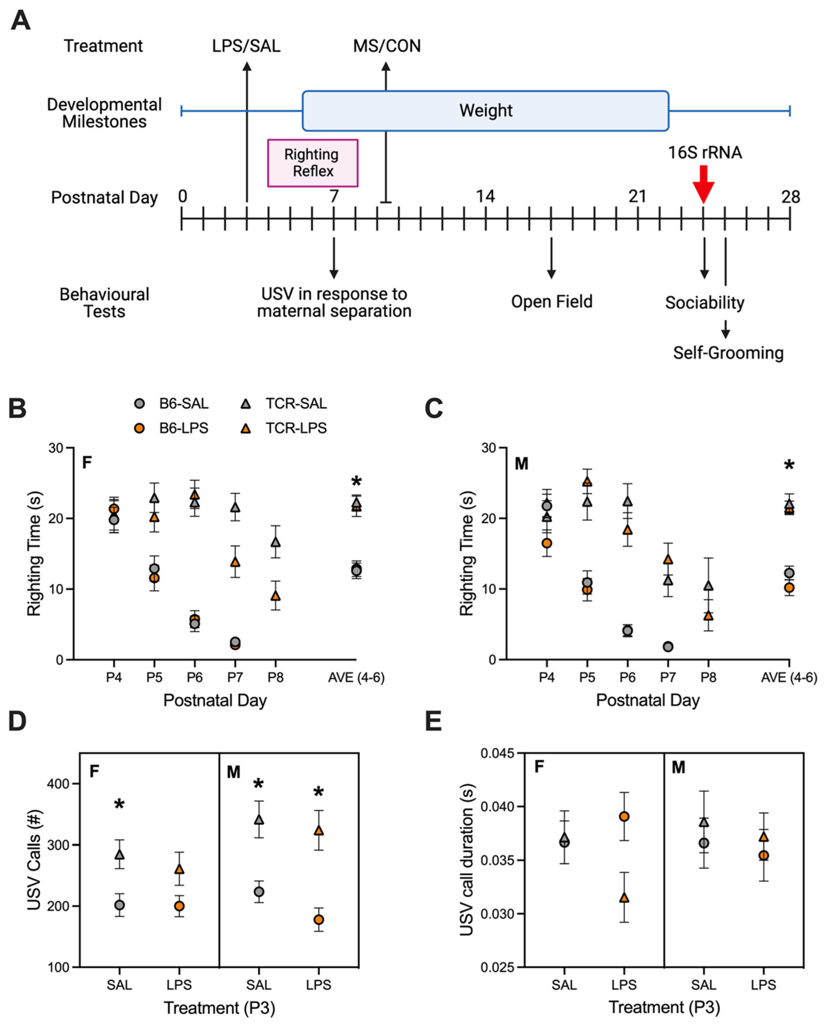 IJMS | Free Full-Text | Microbe–Immune–Stress Interactions  Impact Behaviour during Postnatal Development