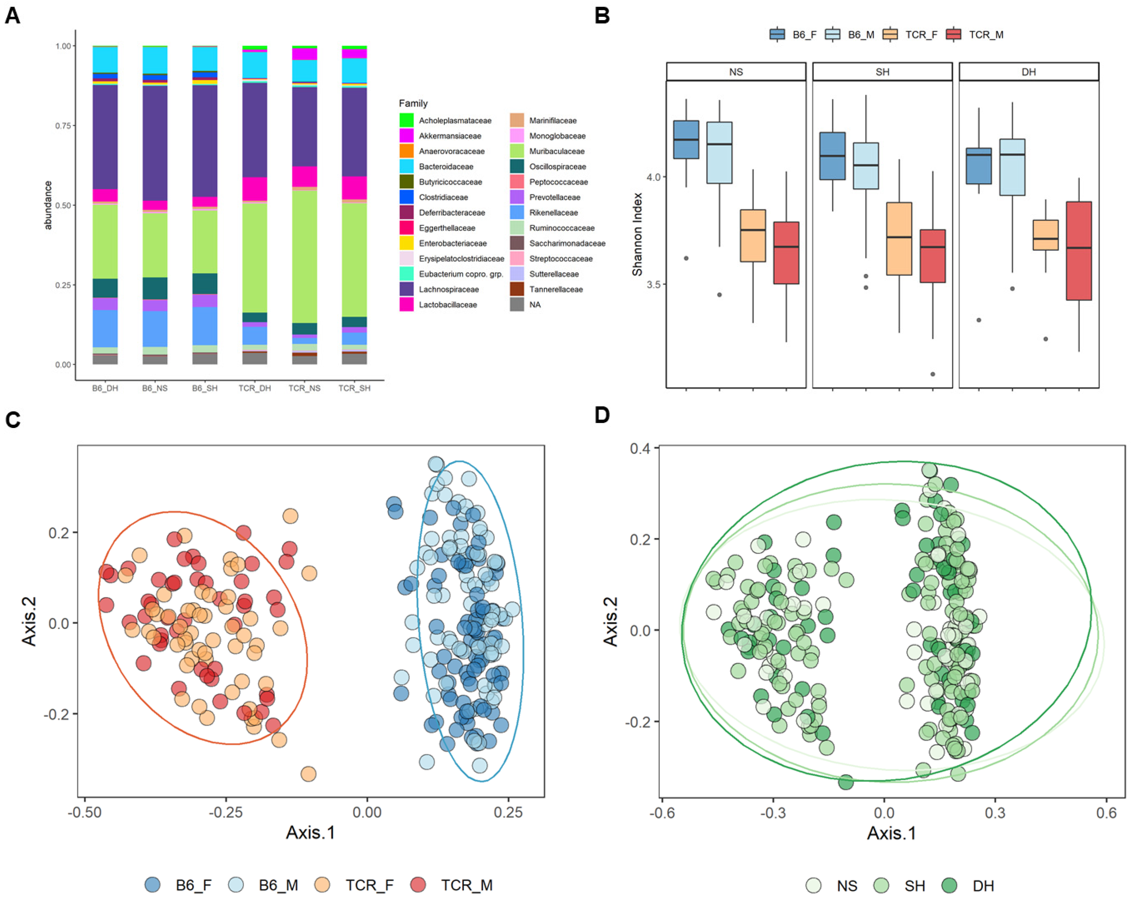 Ijms 23 15064 g004 Ijms 23 15064 g004