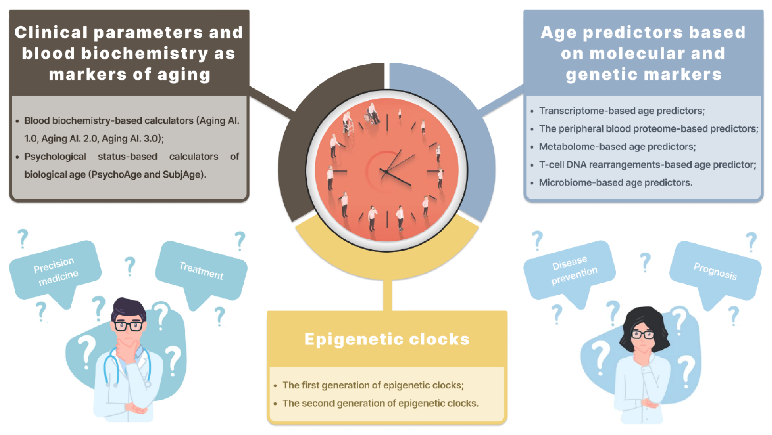 IJMS | Free Full-Text | Biological Age Predictors: The Status Quo and  Future Trends