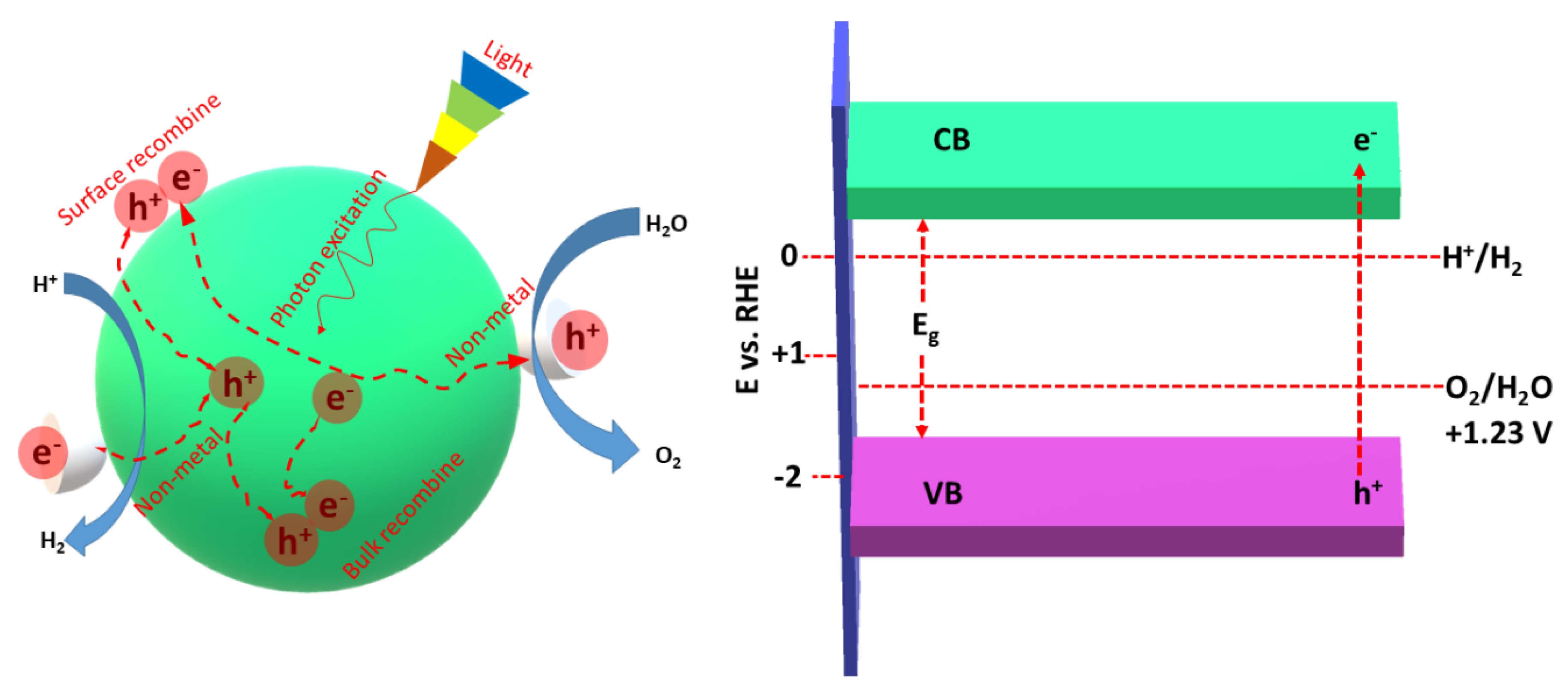 Ijms 23 15129 g003 Ijms 23 15129 g003