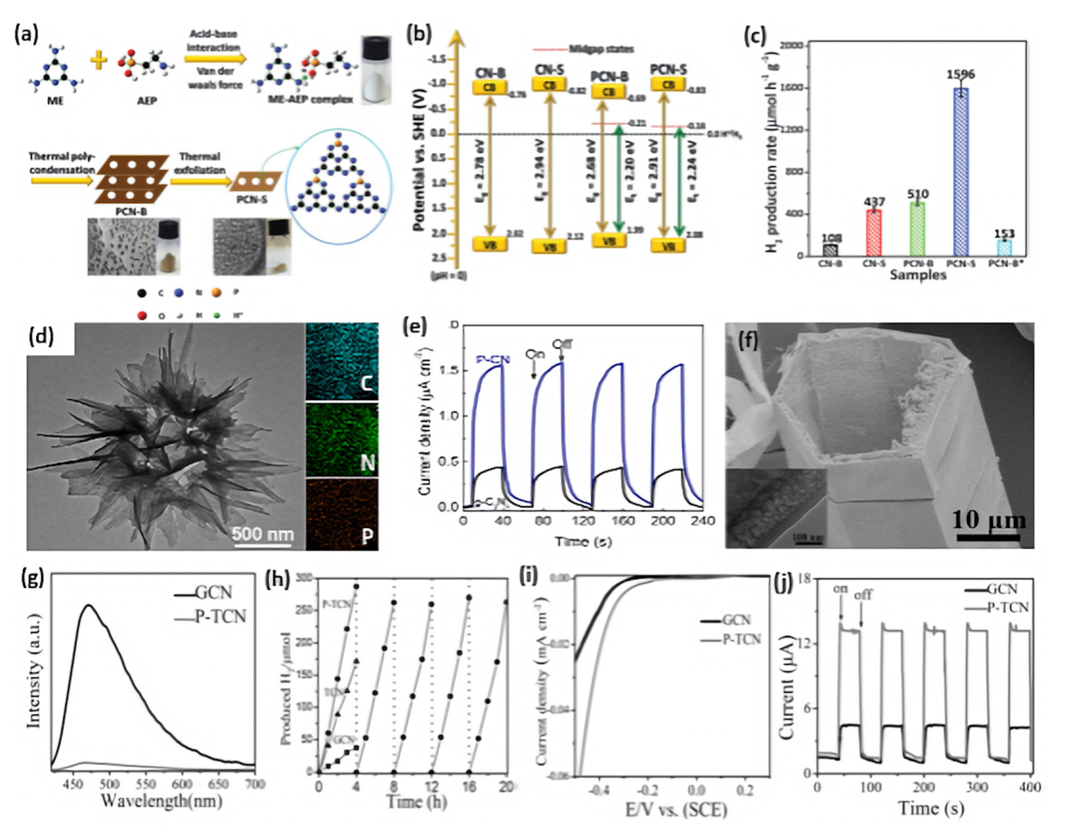 Ijms 23 15129 g005 Ijms 23 15129 g005