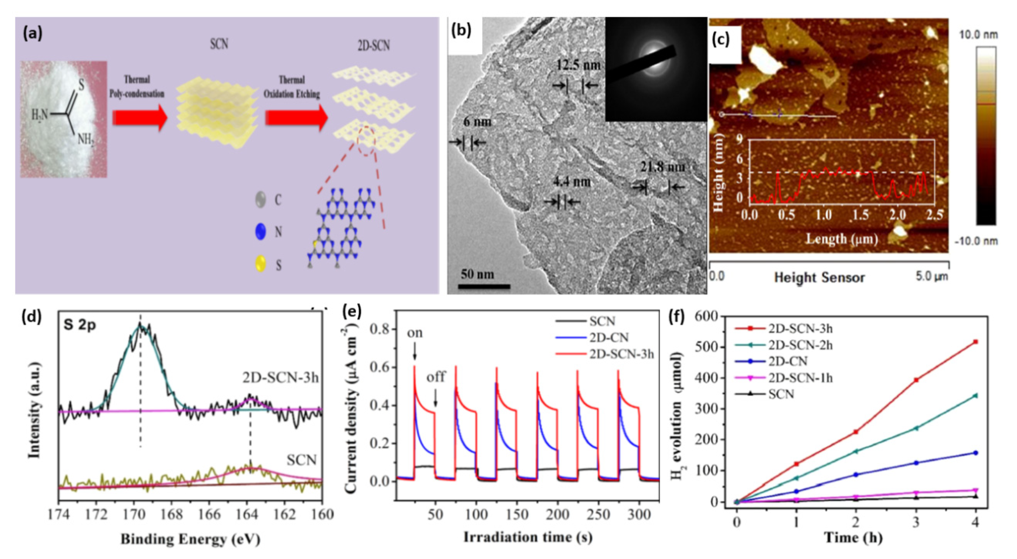 Ijms 23 15129 g006 Ijms 23 15129 g006