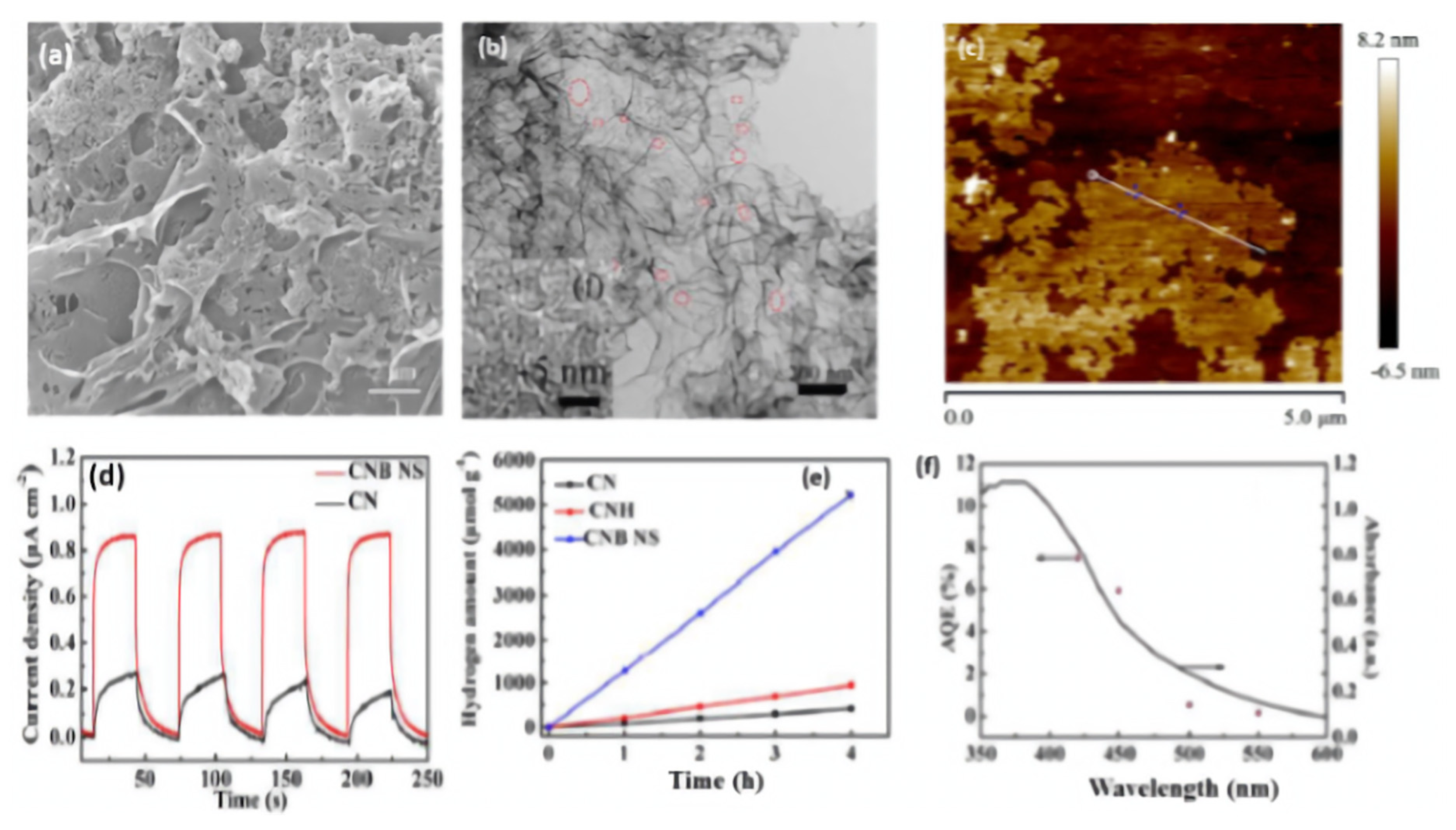Ijms 23 15129 g007 Ijms 23 15129 g007