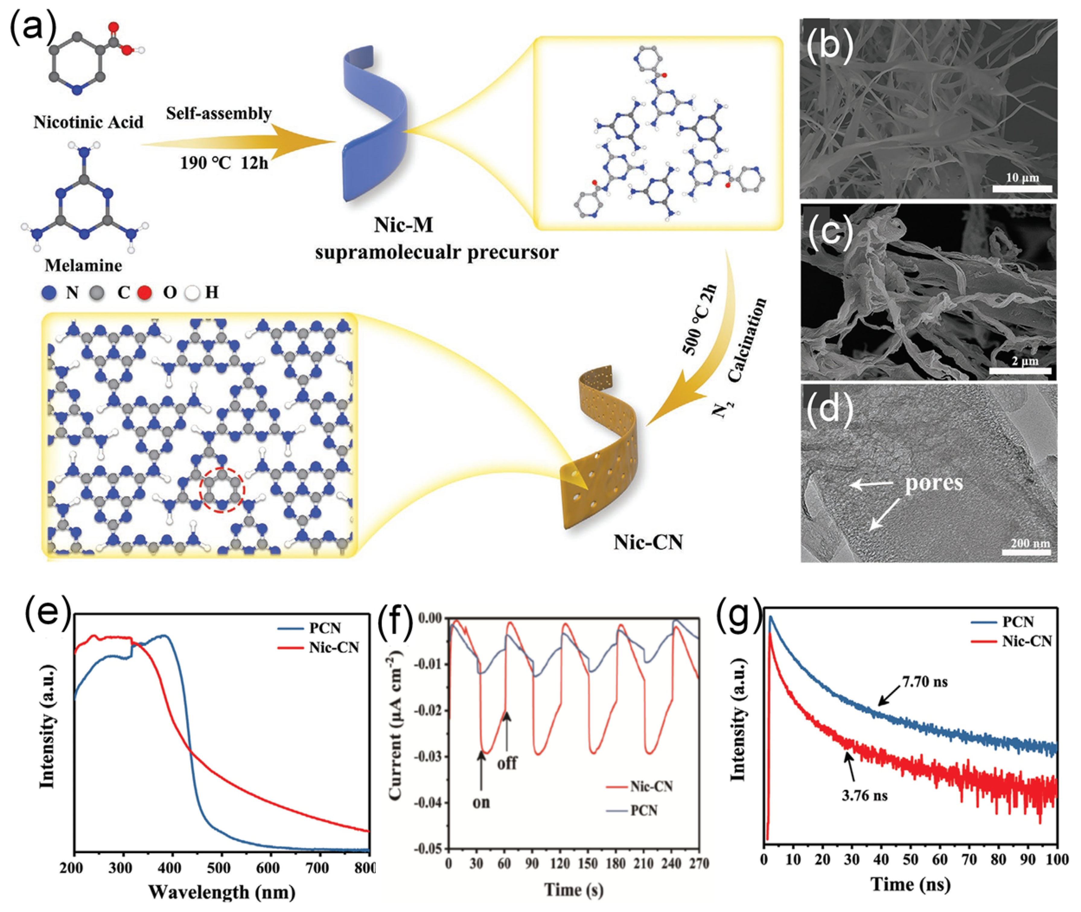 Ijms 23 15129 g010 Ijms 23 15129 g010