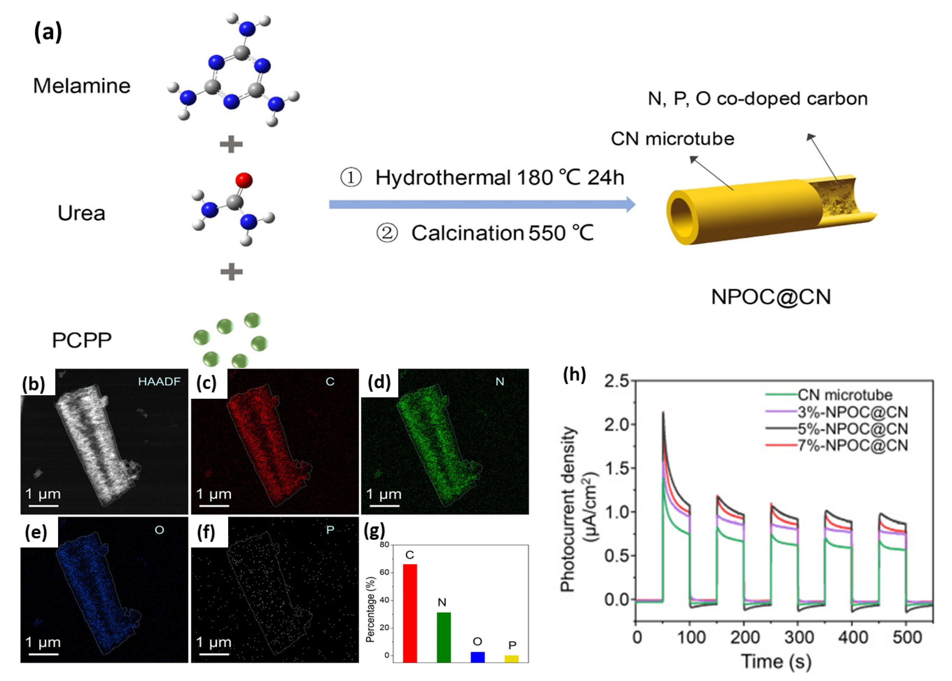 Ijms 23 15129 g013 Ijms 23 15129 g013