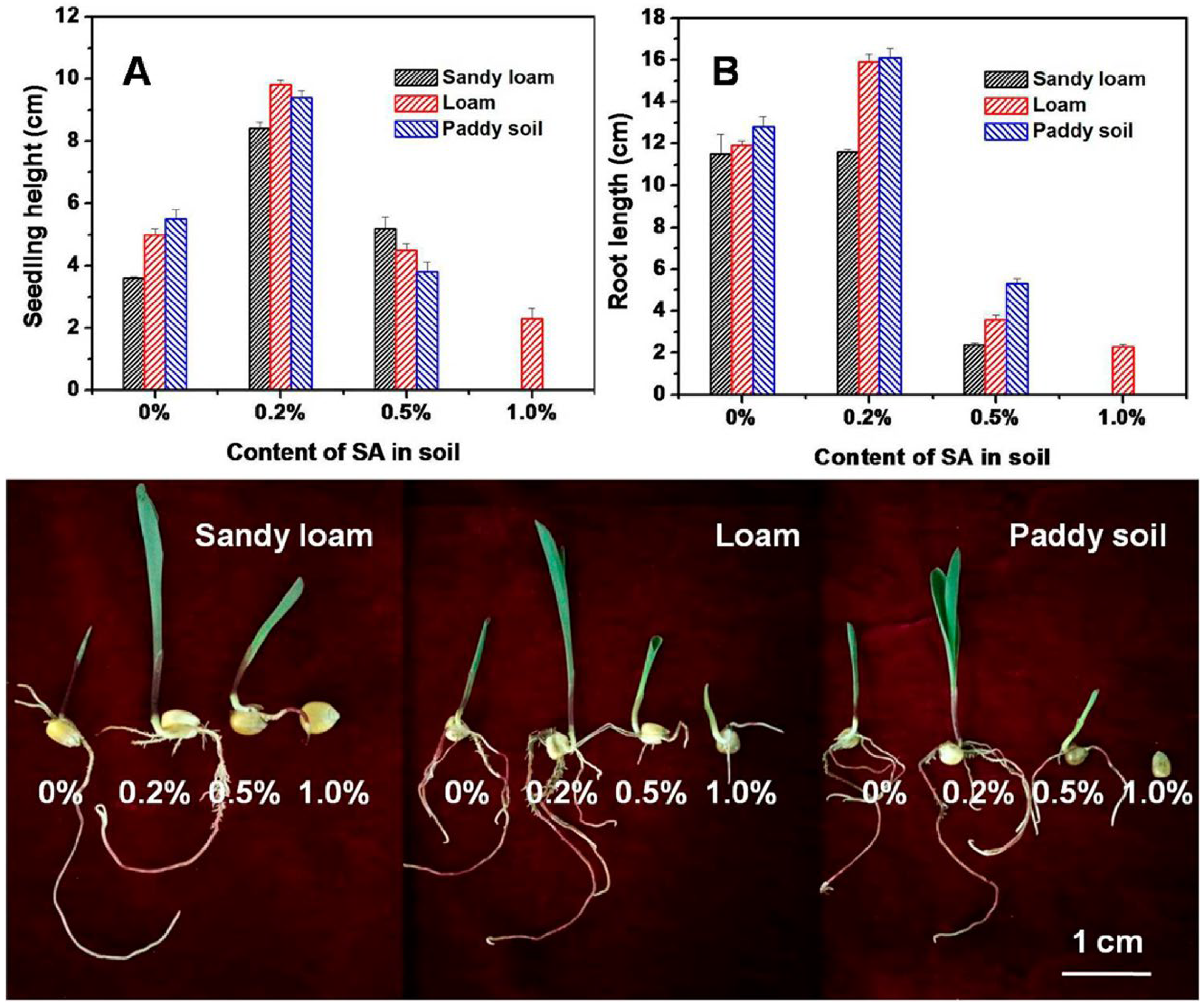 Ijms 23 15134 g005 Ijms 23 15134 g005