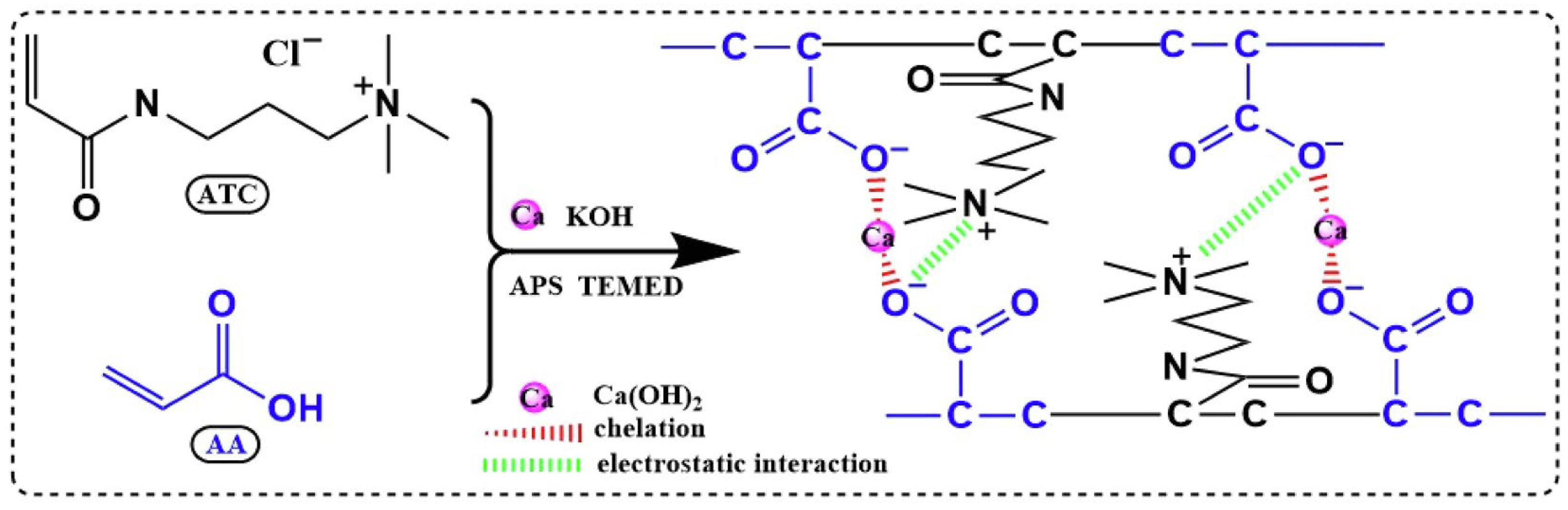 Ijms 23 15134 g009 Ijms 23 15134 g009