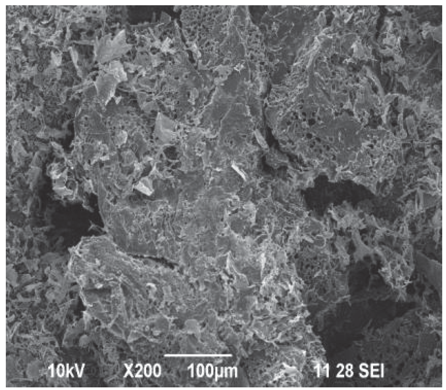 Ijms 23 15134 g014 Ijms 23 15134 g014