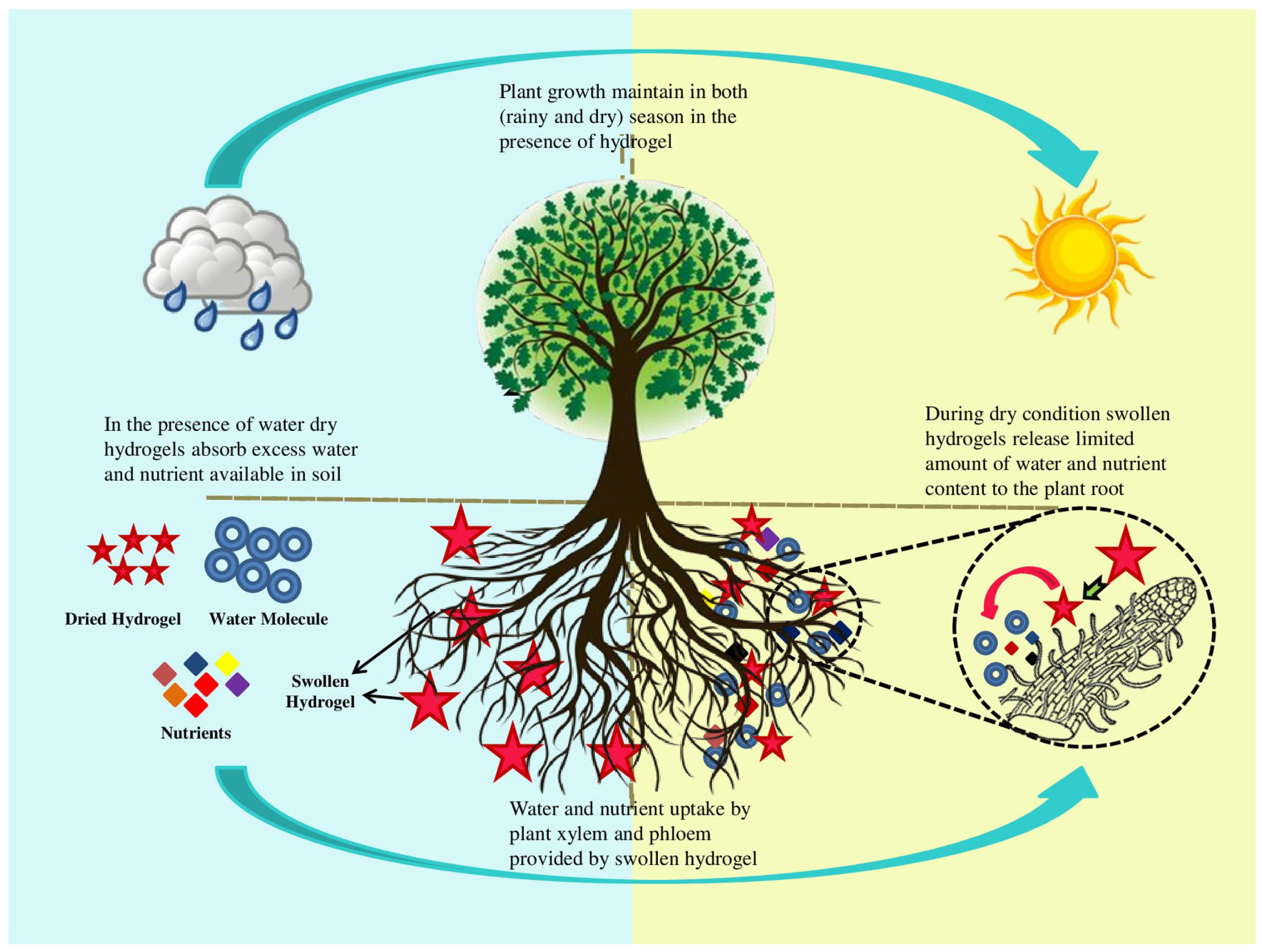 Ijms 23 15134 g017 Ijms 23 15134 g017