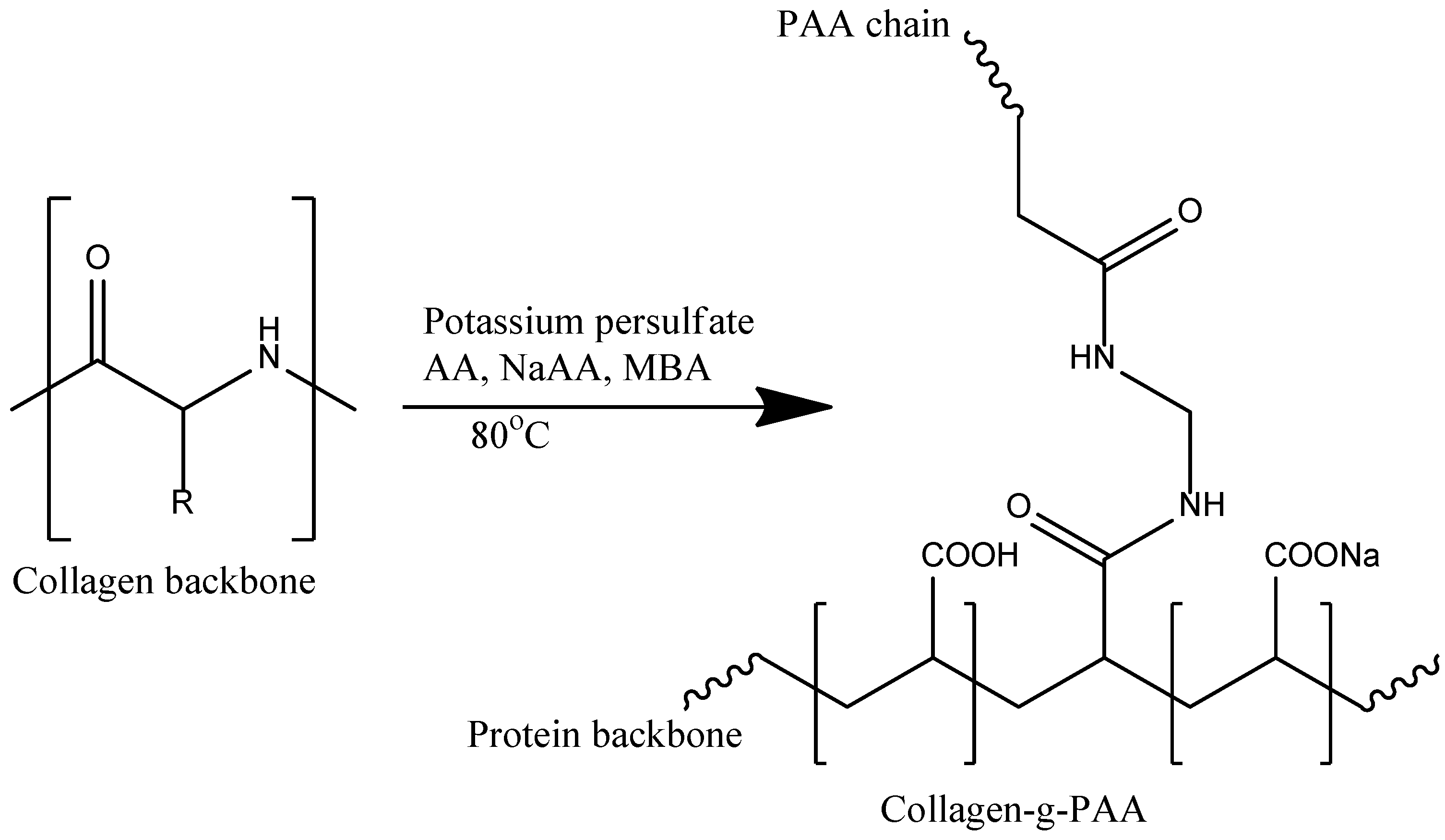 Ijms 23 15134 g022 Ijms 23 15134 g022