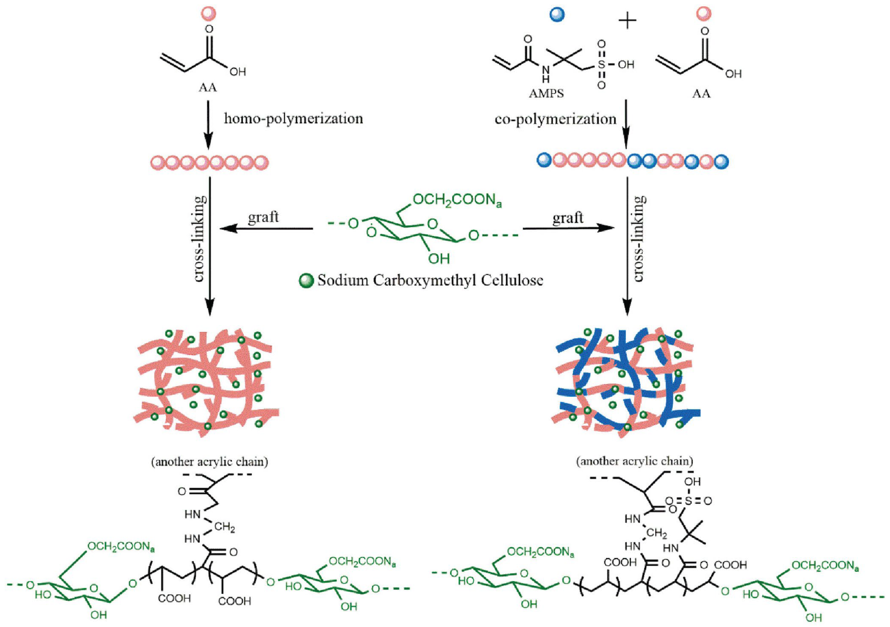 Ijms 23 15134 g025 Ijms 23 15134 g025