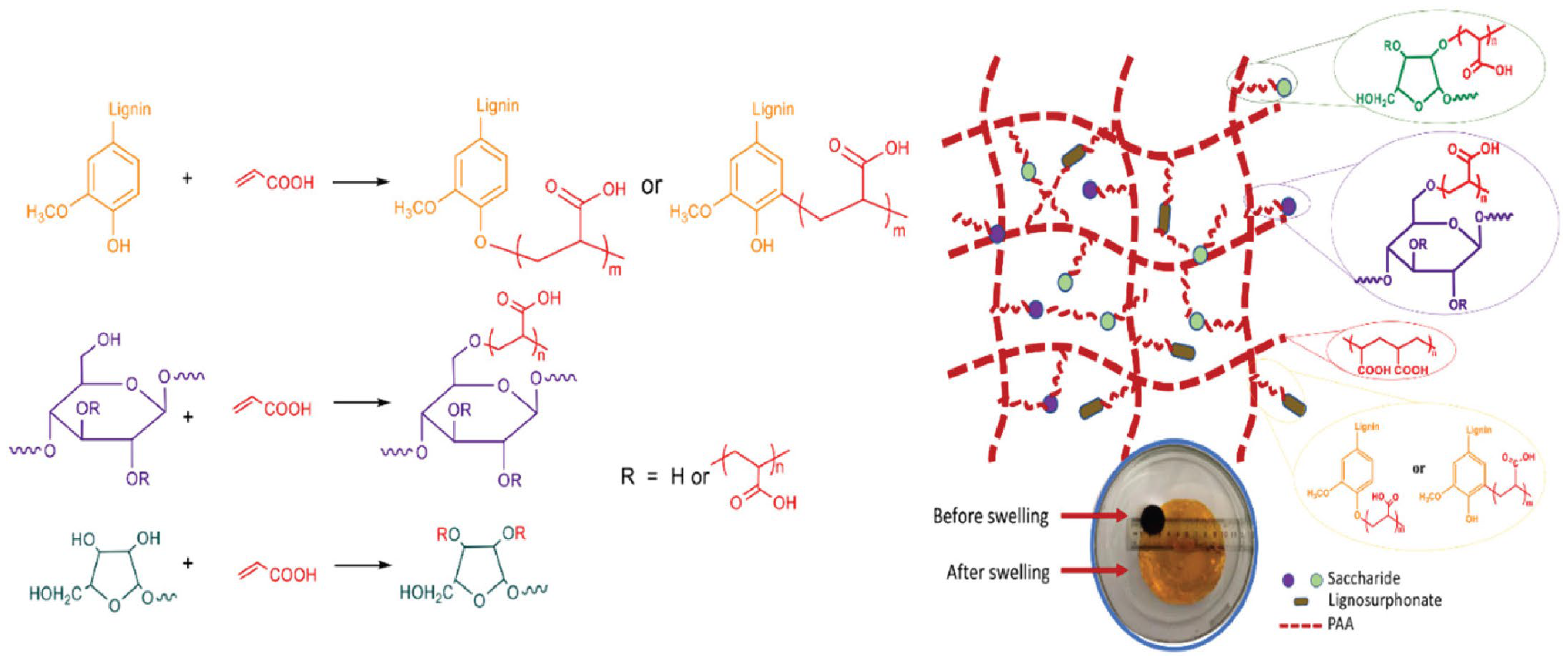 Ijms 23 15134 g026 Ijms 23 15134 g026