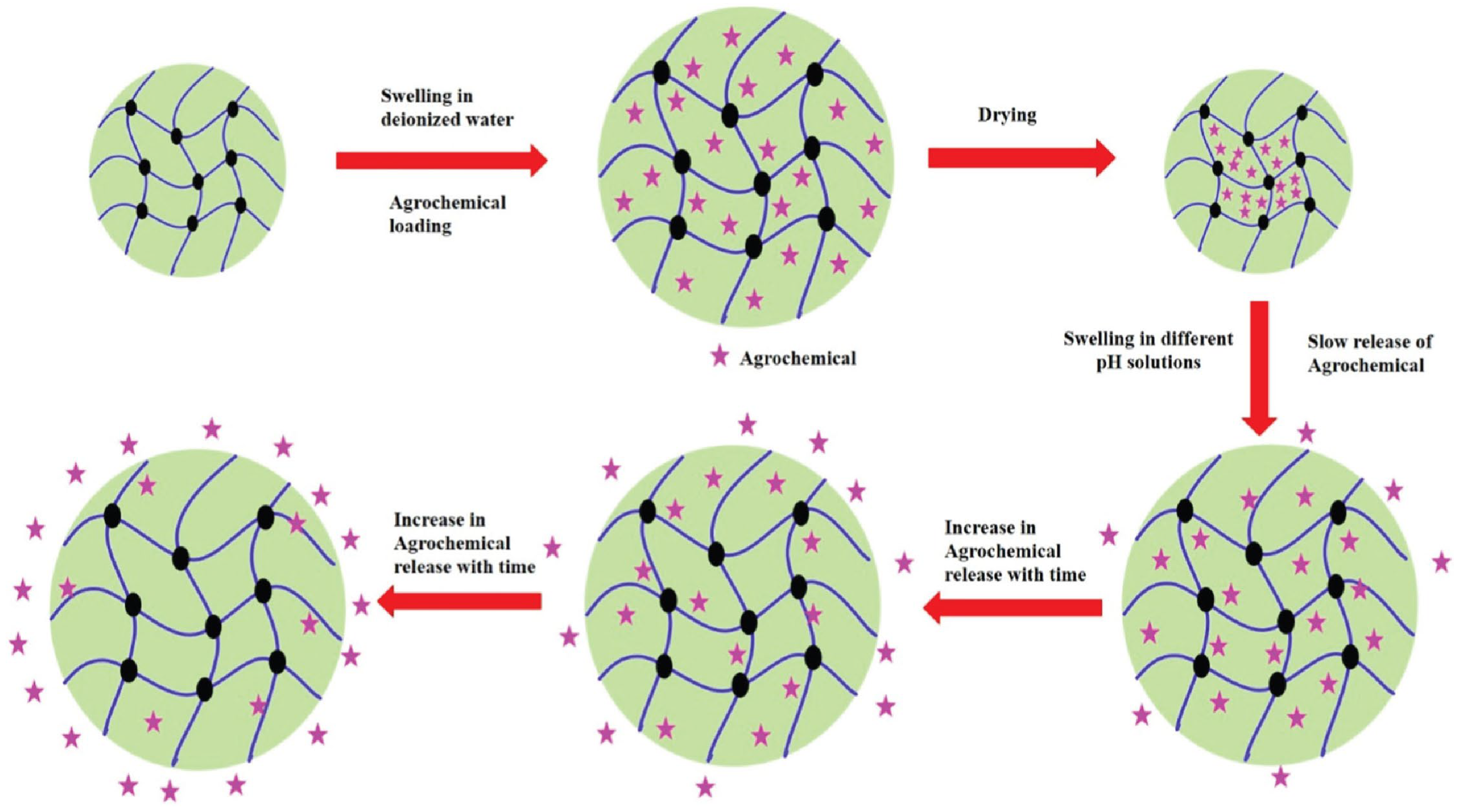 Ijms 23 15134 g027 Ijms 23 15134 g027