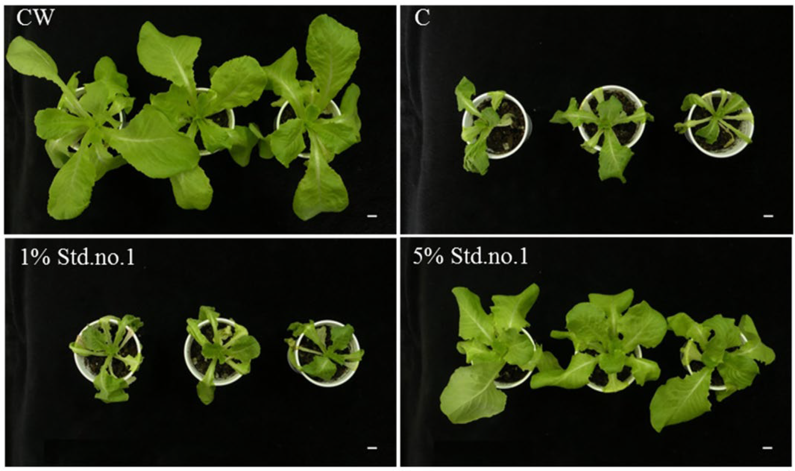 Ijms 23 15134 g030 Ijms 23 15134 g030