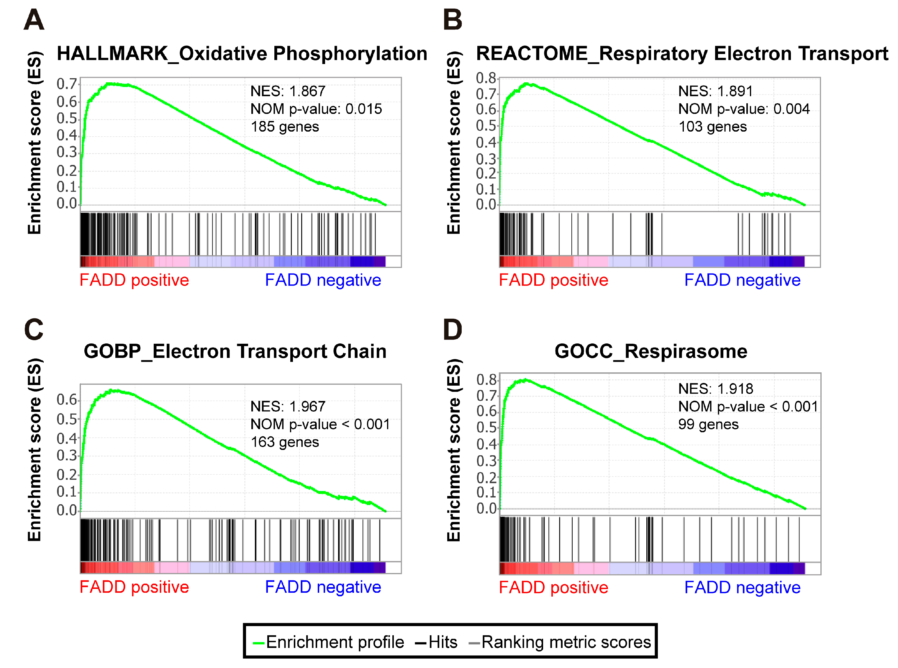 Ijms 23 15157 g004 Ijms 23 15157 g004