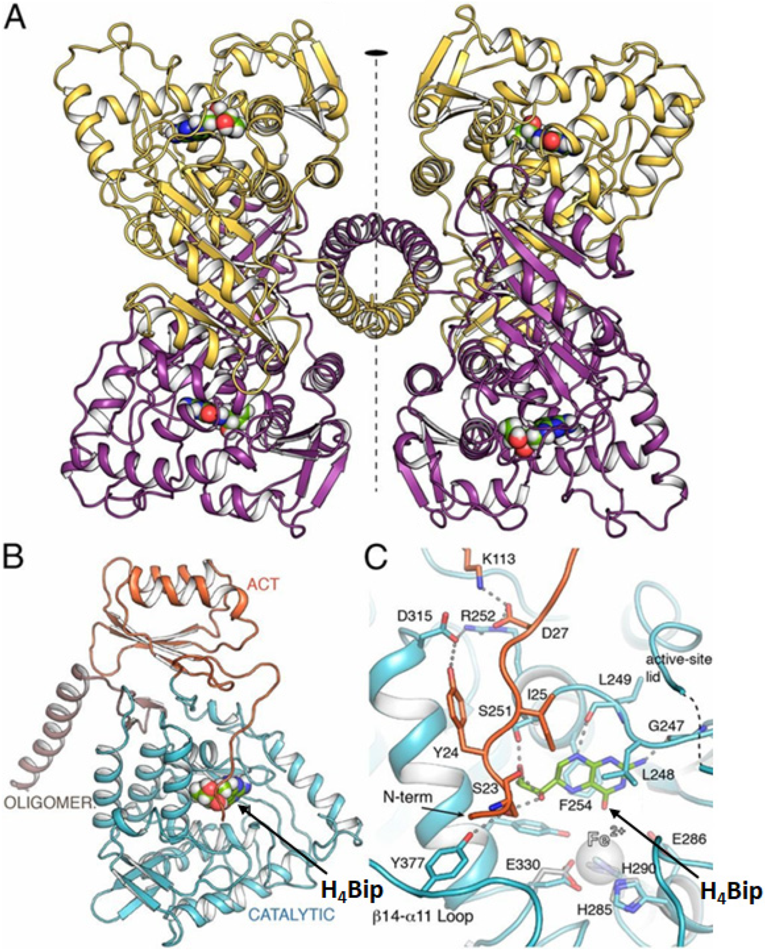 Ijms 23 15222 g002 Ijms 23 15222 g002
