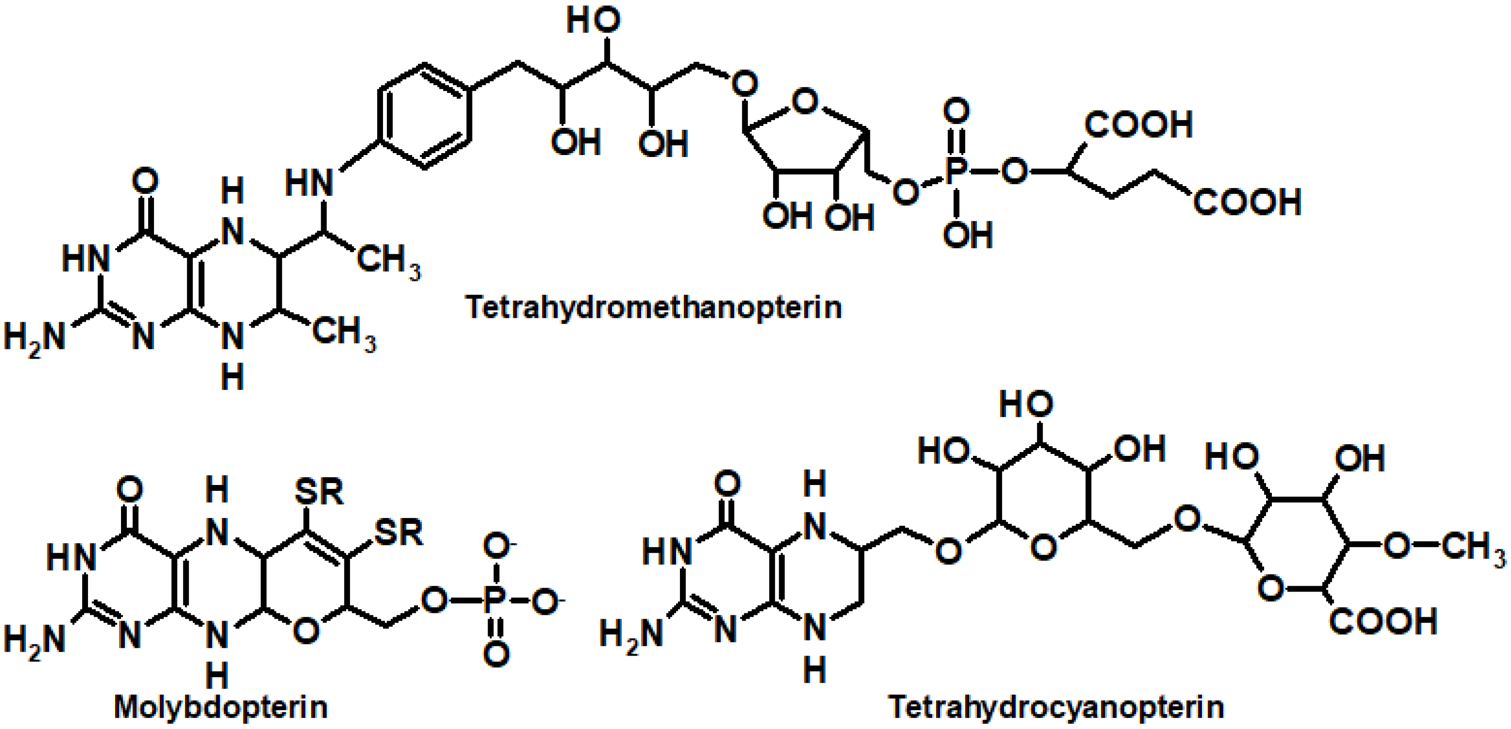 Ijms 23 15222 g003 Ijms 23 15222 g003