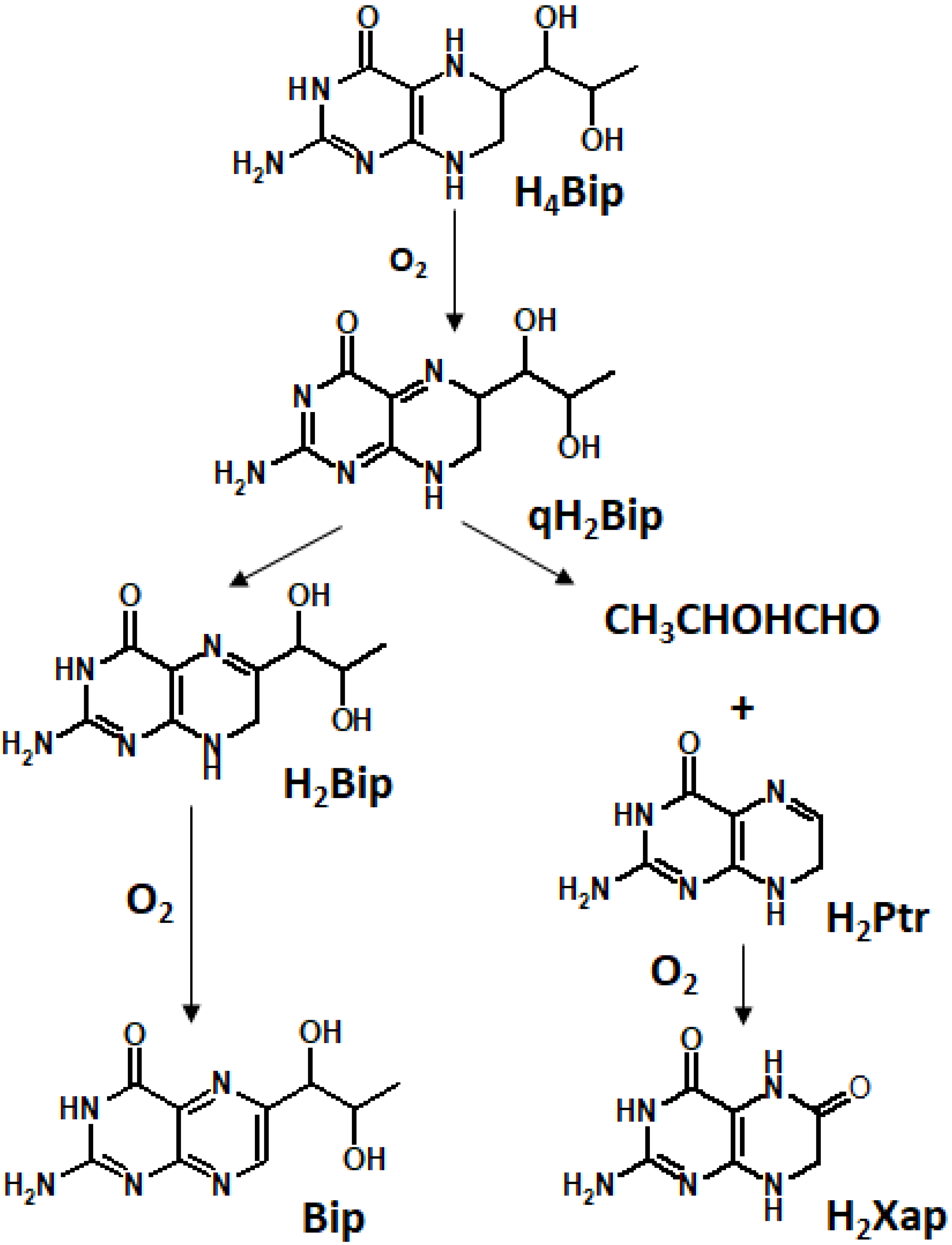 Ijms 23 15222 g006 Ijms 23 15222 g006