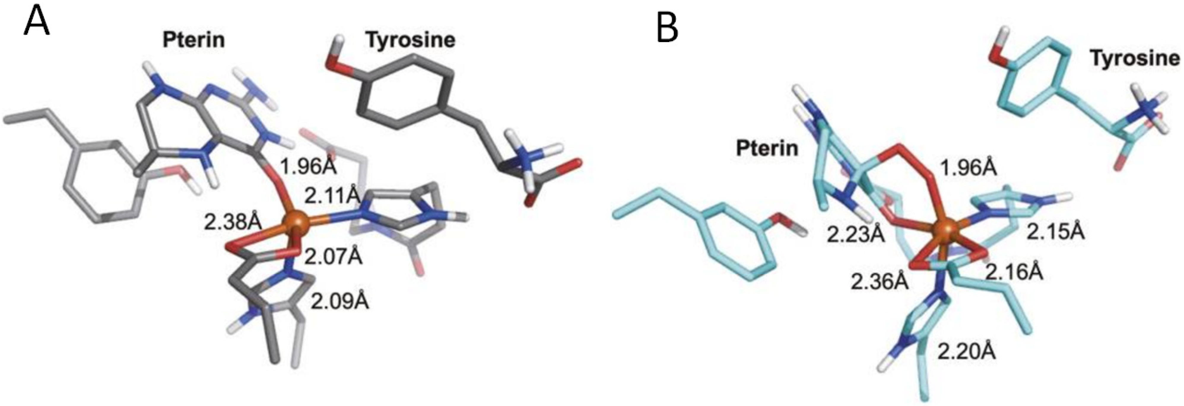 Ijms 23 15222 g009 Ijms 23 15222 g009