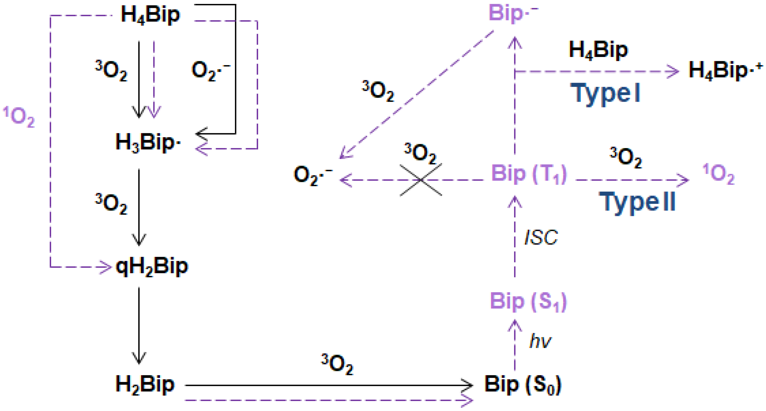 Ijms 23 15222 g013 Ijms 23 15222 g013