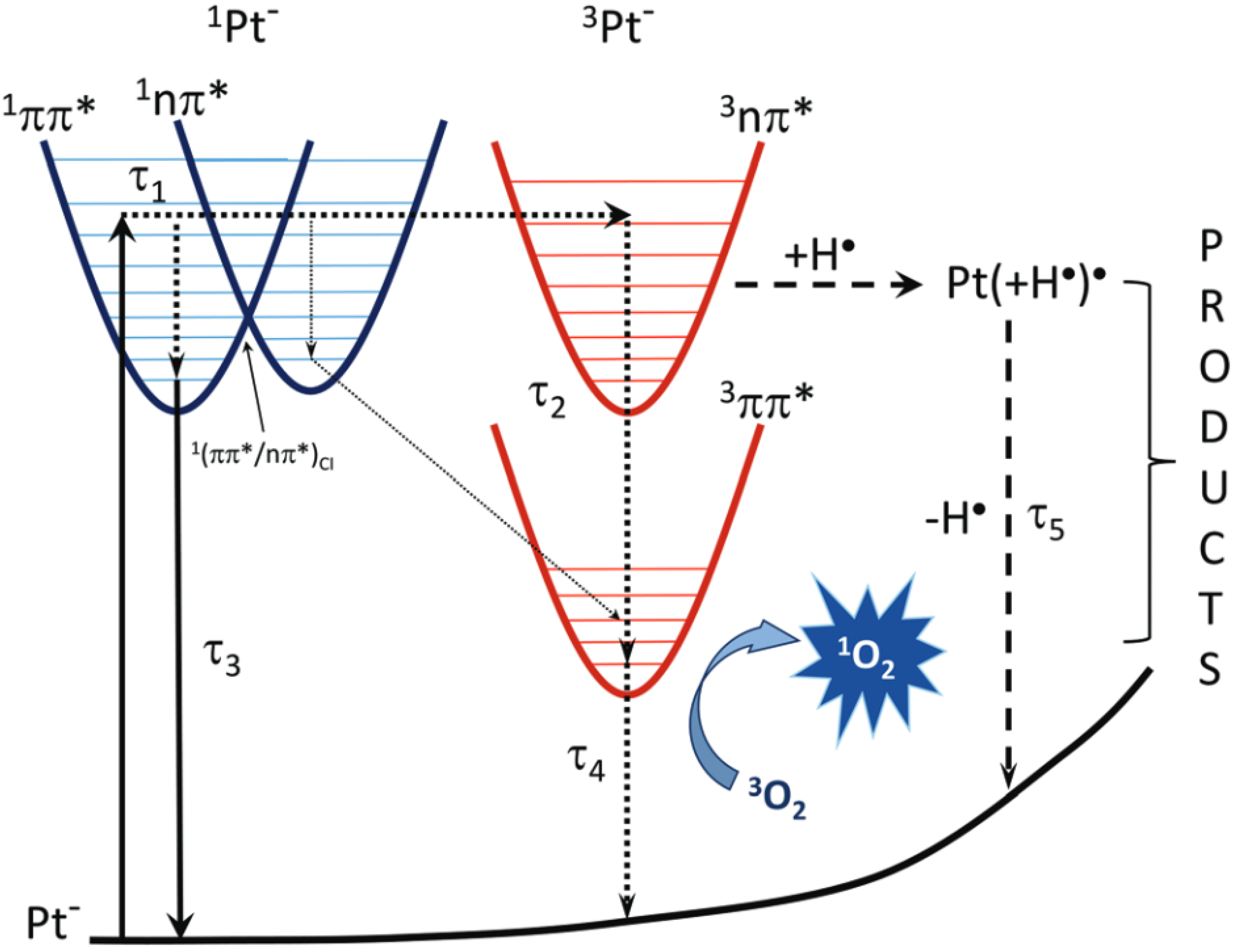 Ijms 23 15222 g016 Ijms 23 15222 g016
