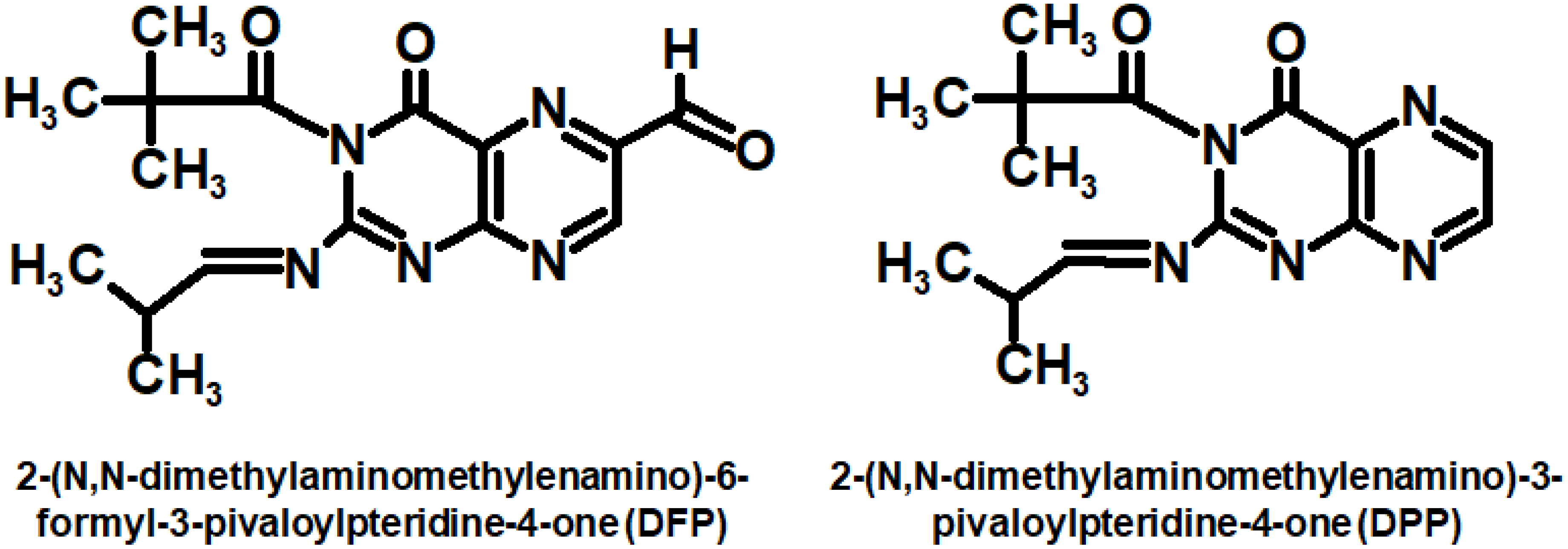Ijms 23 15222 g019 Ijms 23 15222 g019