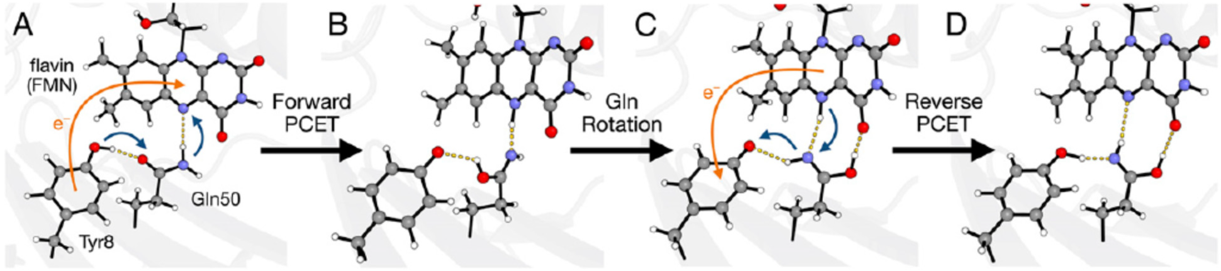 Ijms 23 15222 g020 Ijms 23 15222 g020