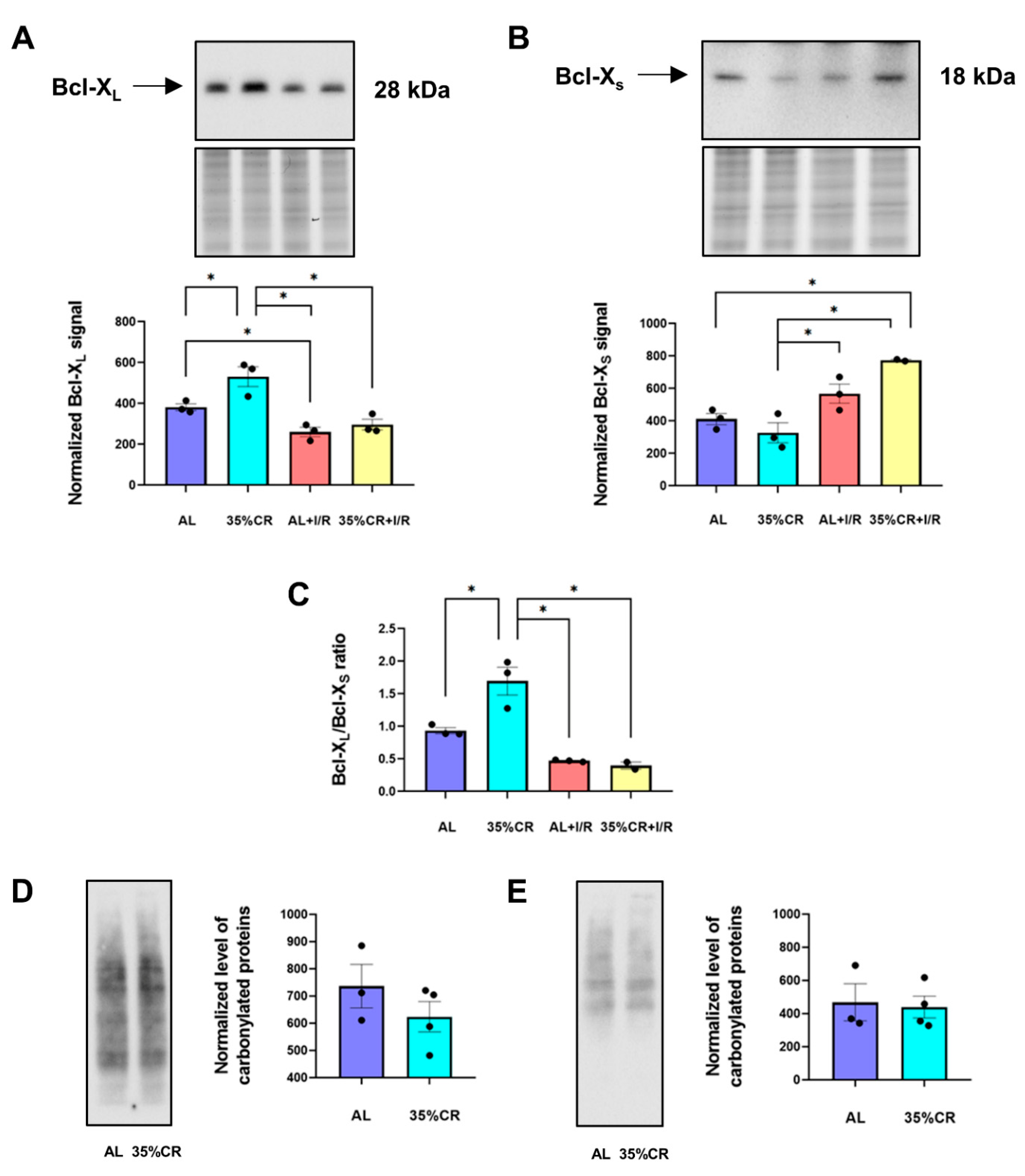 Ijms 23 15224 g003 Ijms 23 15224 g003