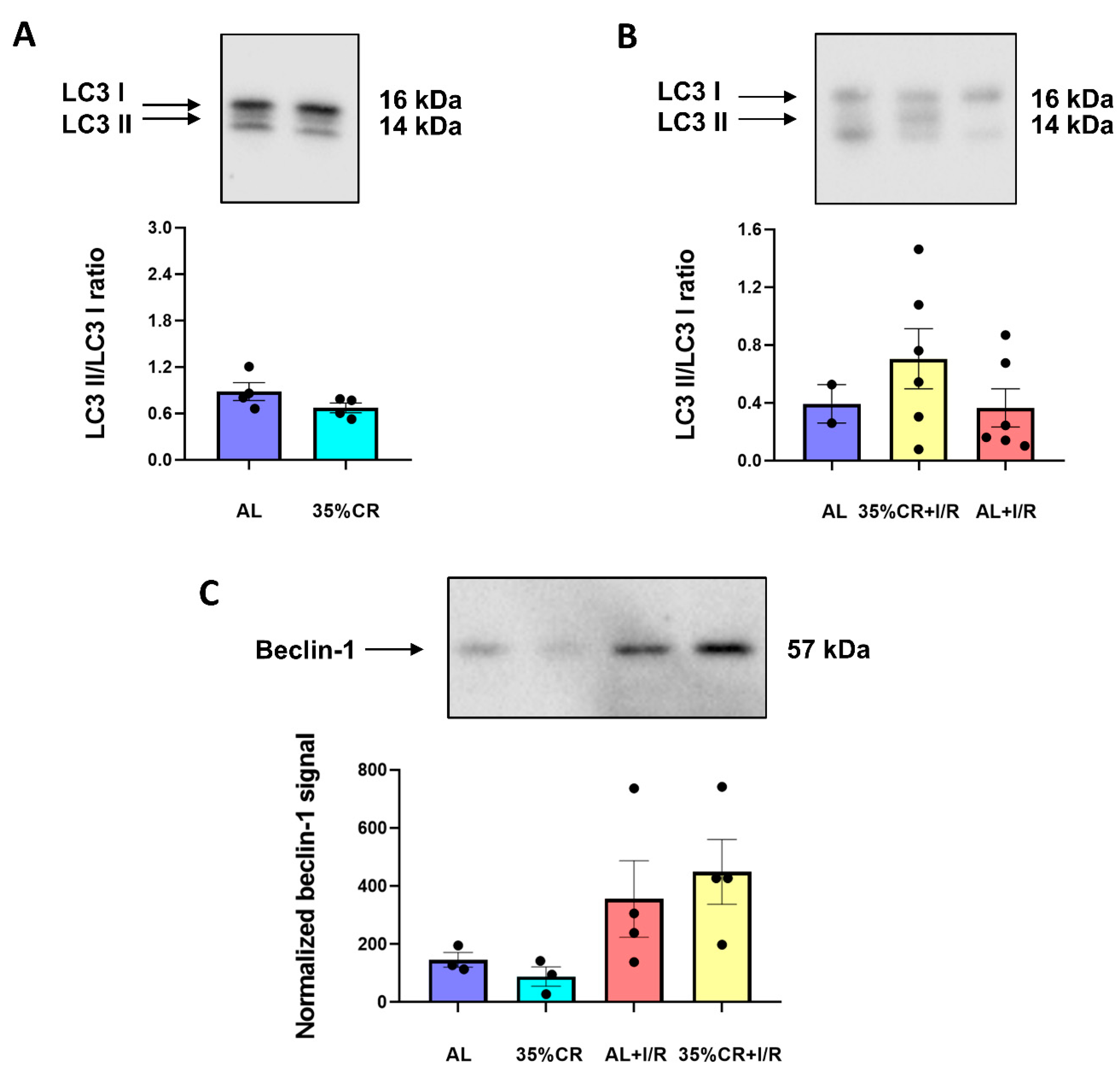 Ijms 23 15224 g005 Ijms 23 15224 g005