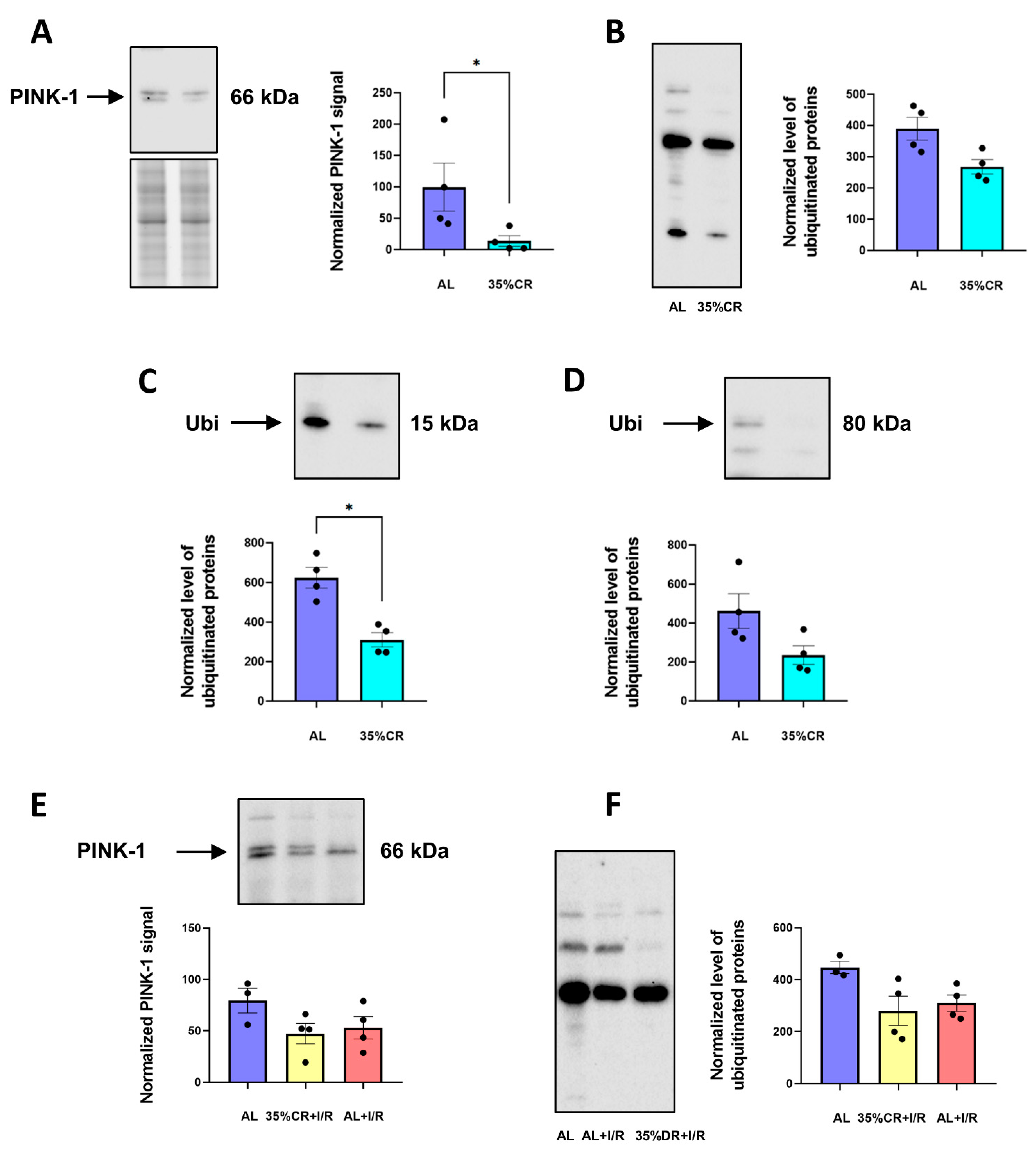 Ijms 23 15224 g006 Ijms 23 15224 g006