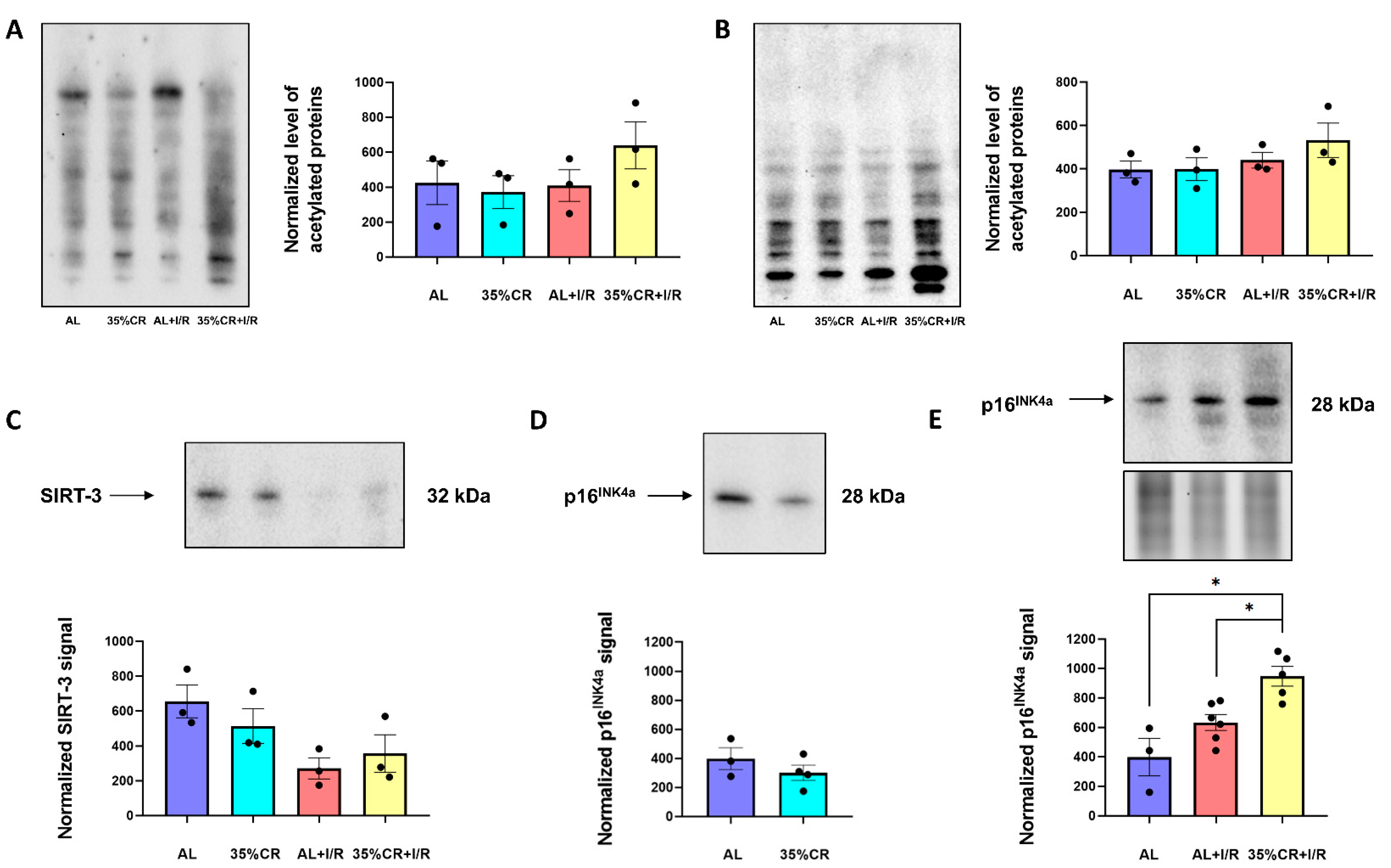 Ijms 23 15224 g007 Ijms 23 15224 g007