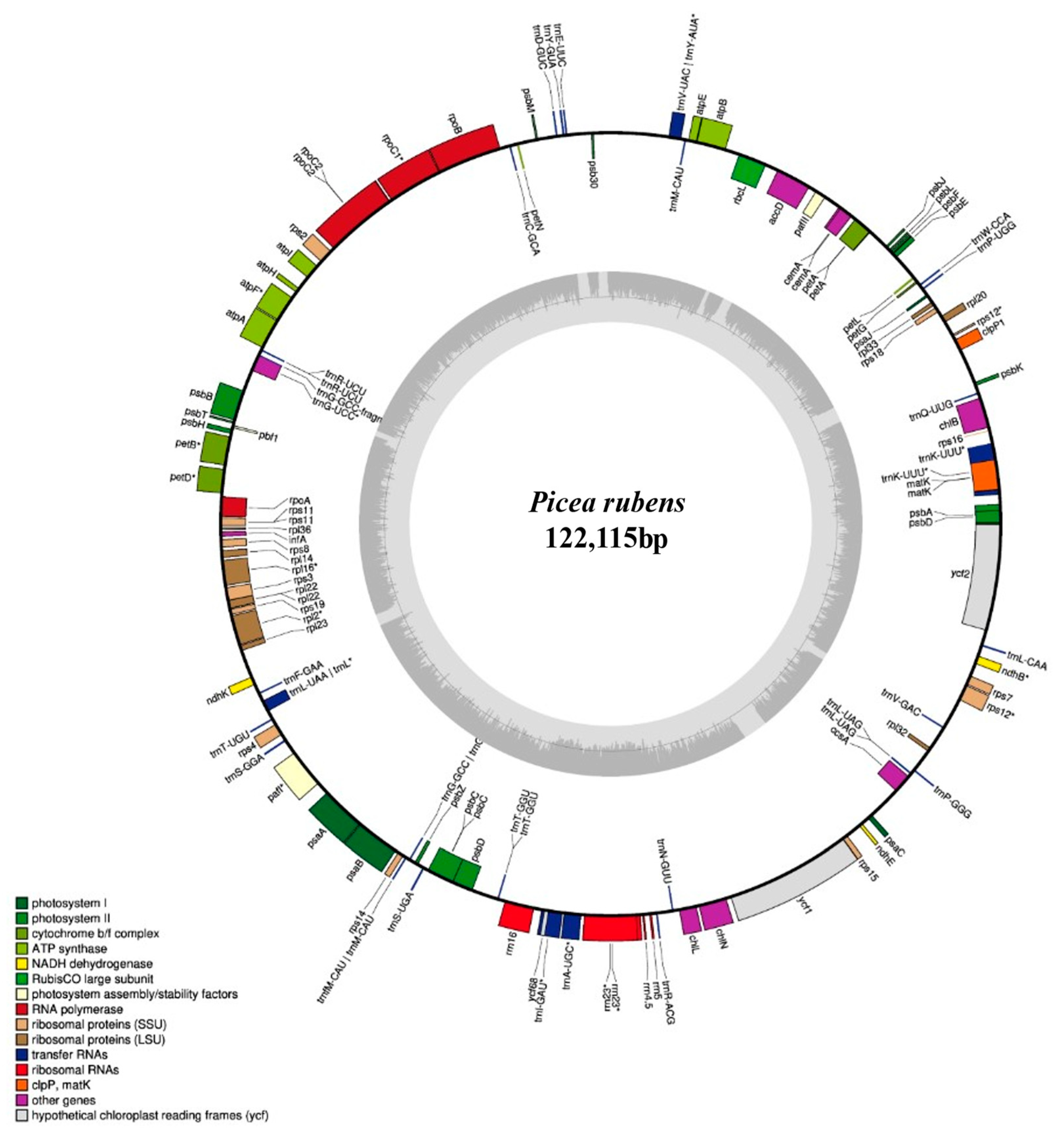 Ijms 23 15243 g001 Ijms 23 15243 g001