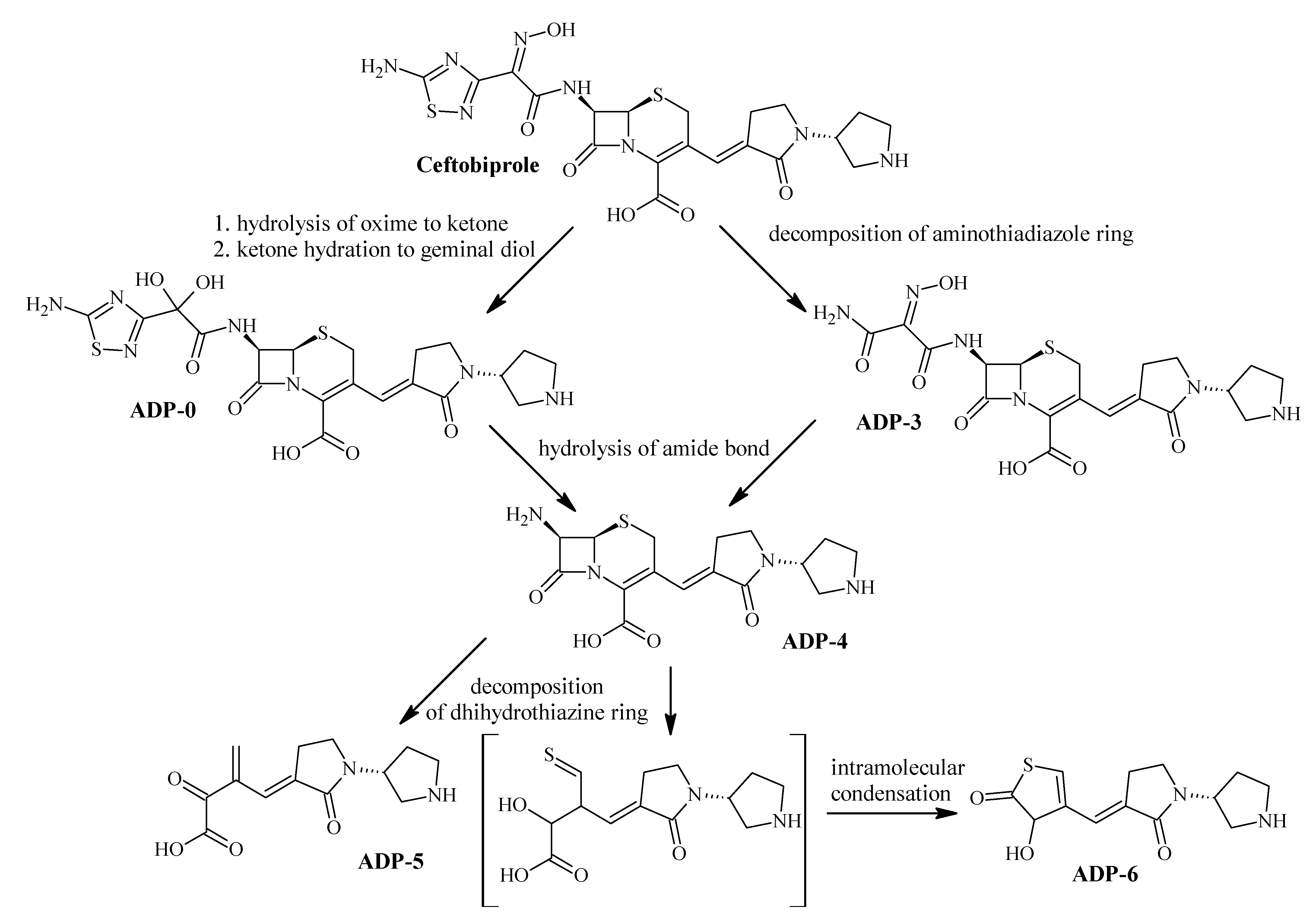 Ijms 23 15252 sch002 Ijms 23 15252 sch002