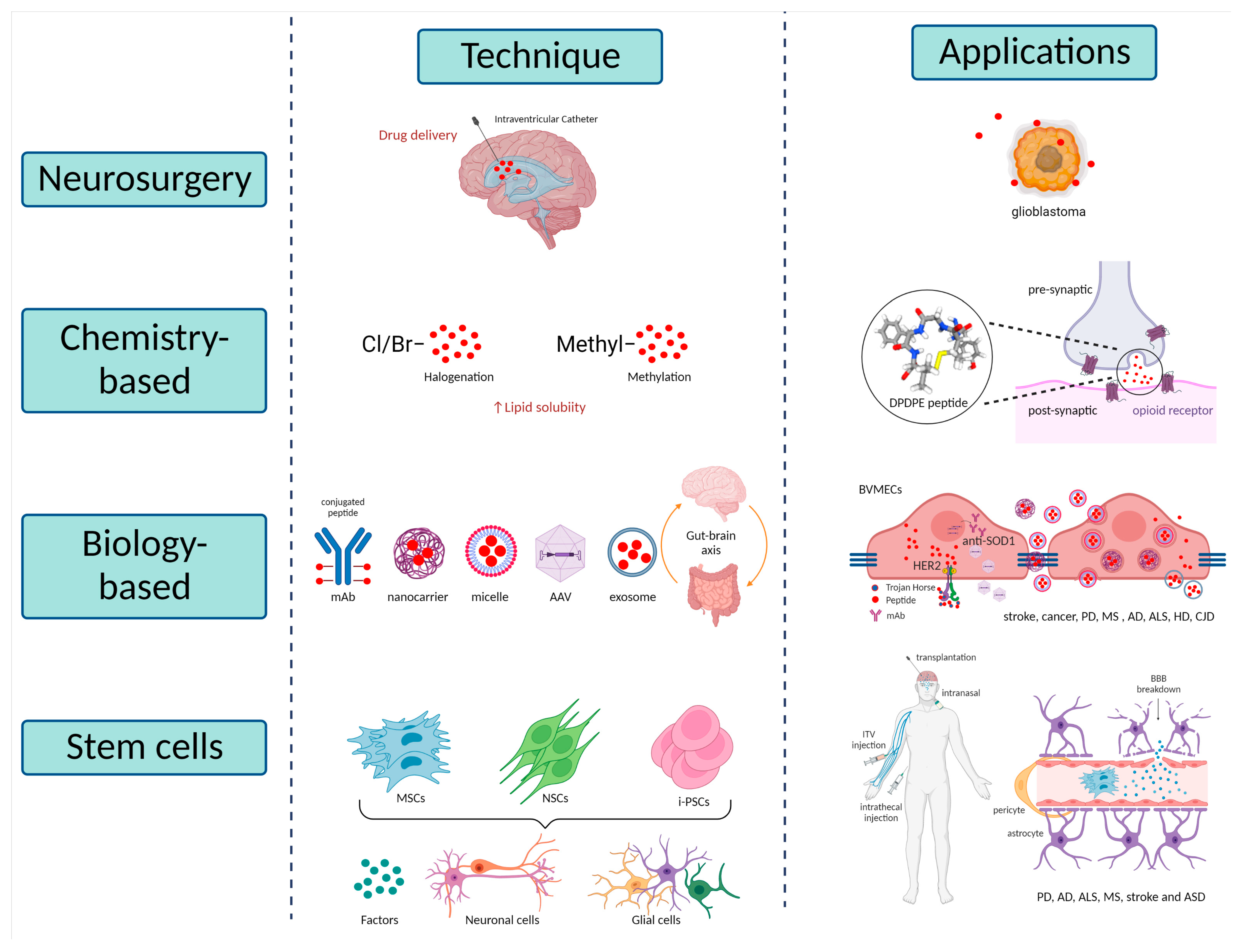 Ijms 23 15271 g002 Ijms 23 15271 g002