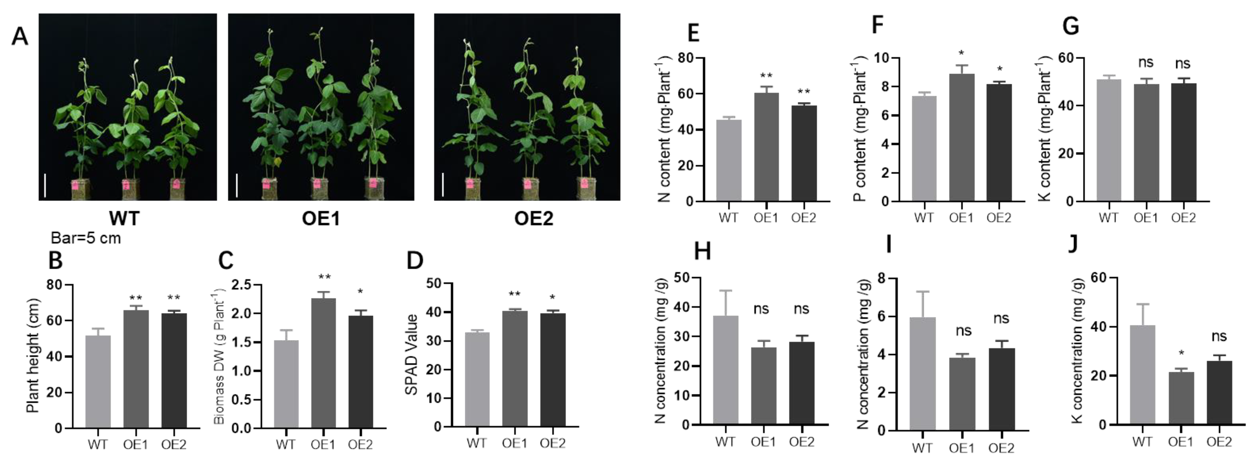 Ijms 23 15274 g002 Ijms 23 15274 g002
