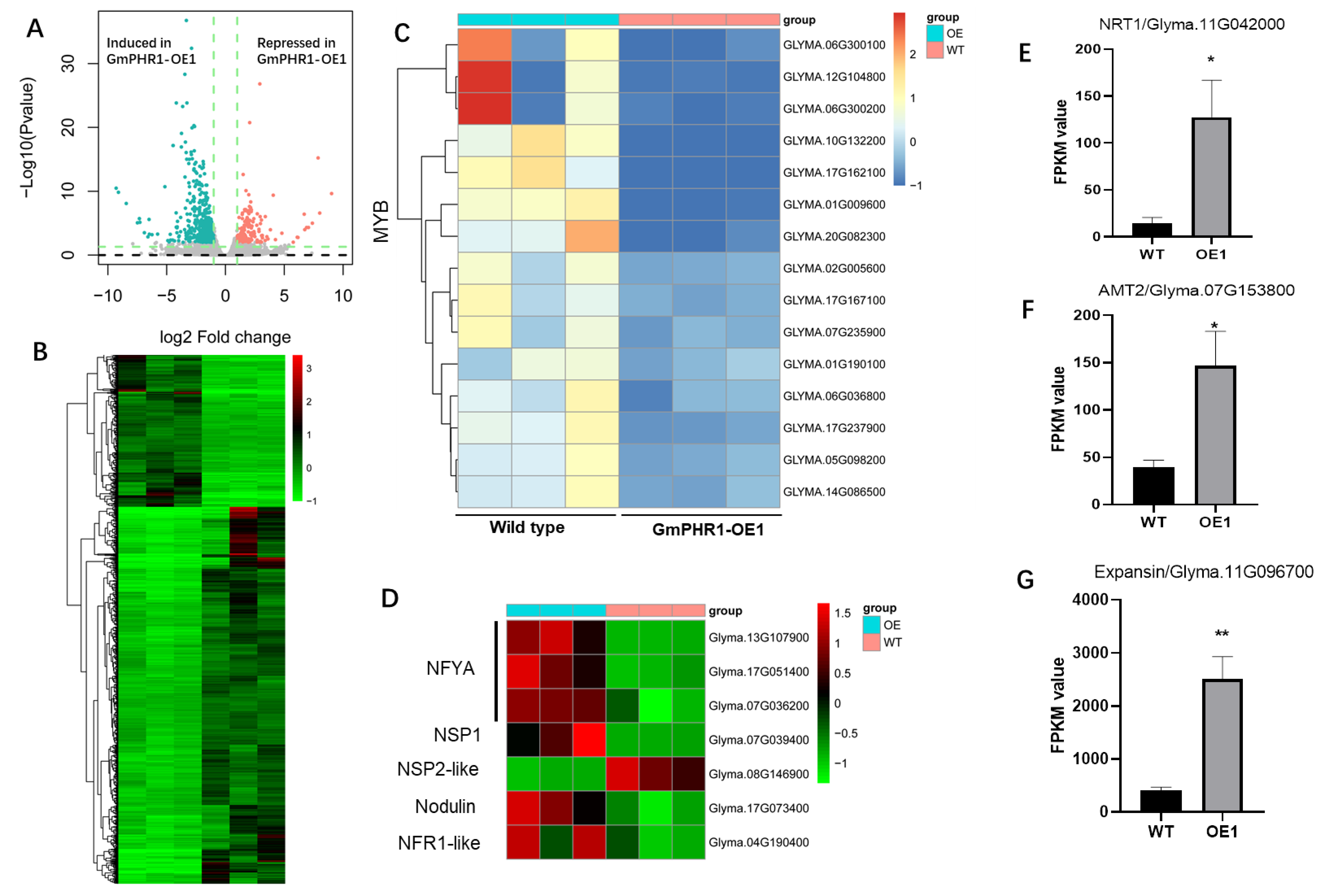 Ijms 23 15274 g005 Ijms 23 15274 g005
