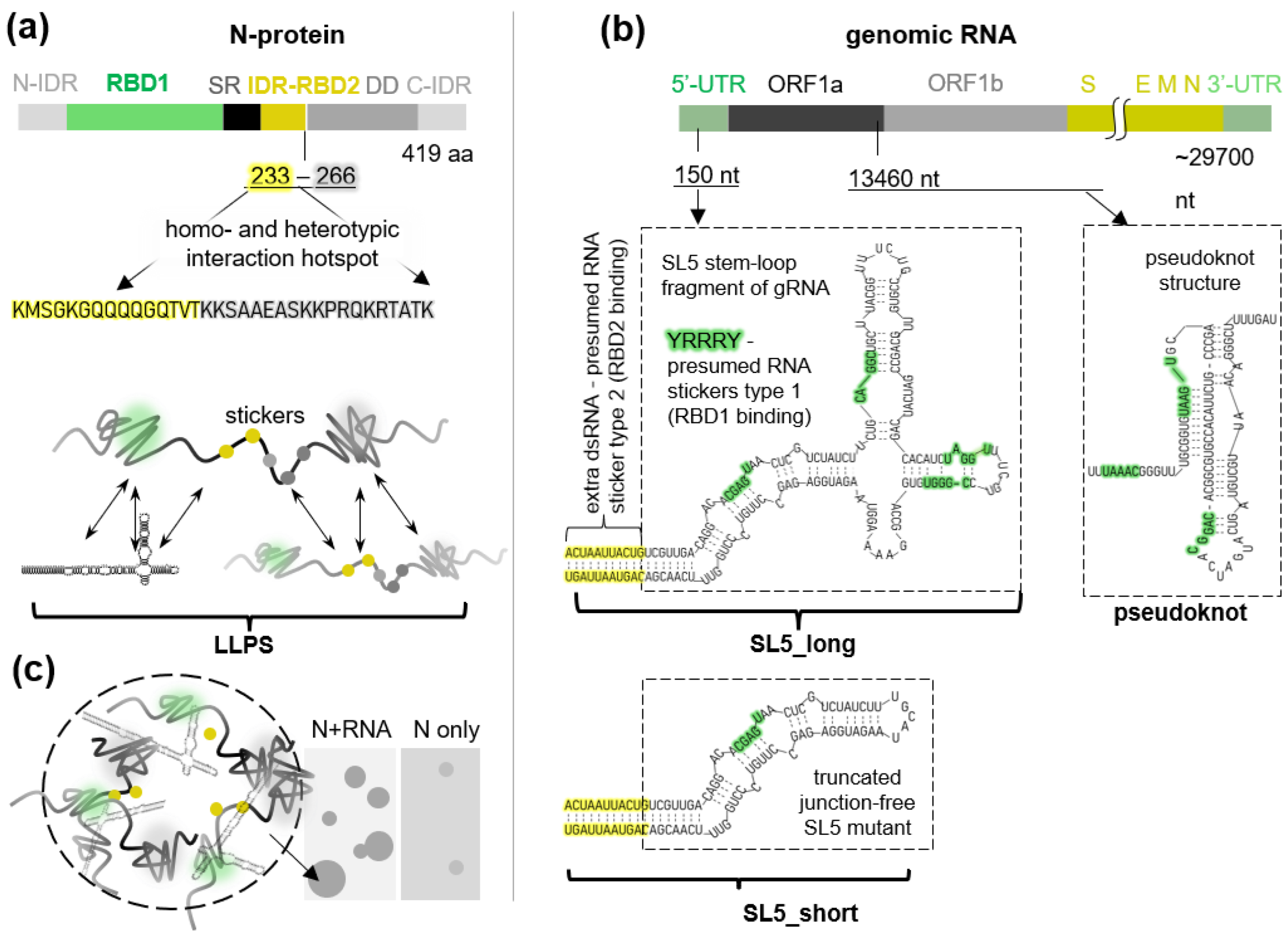 IJMS | Free Full-Text | Nucleoside Analogs and Perylene