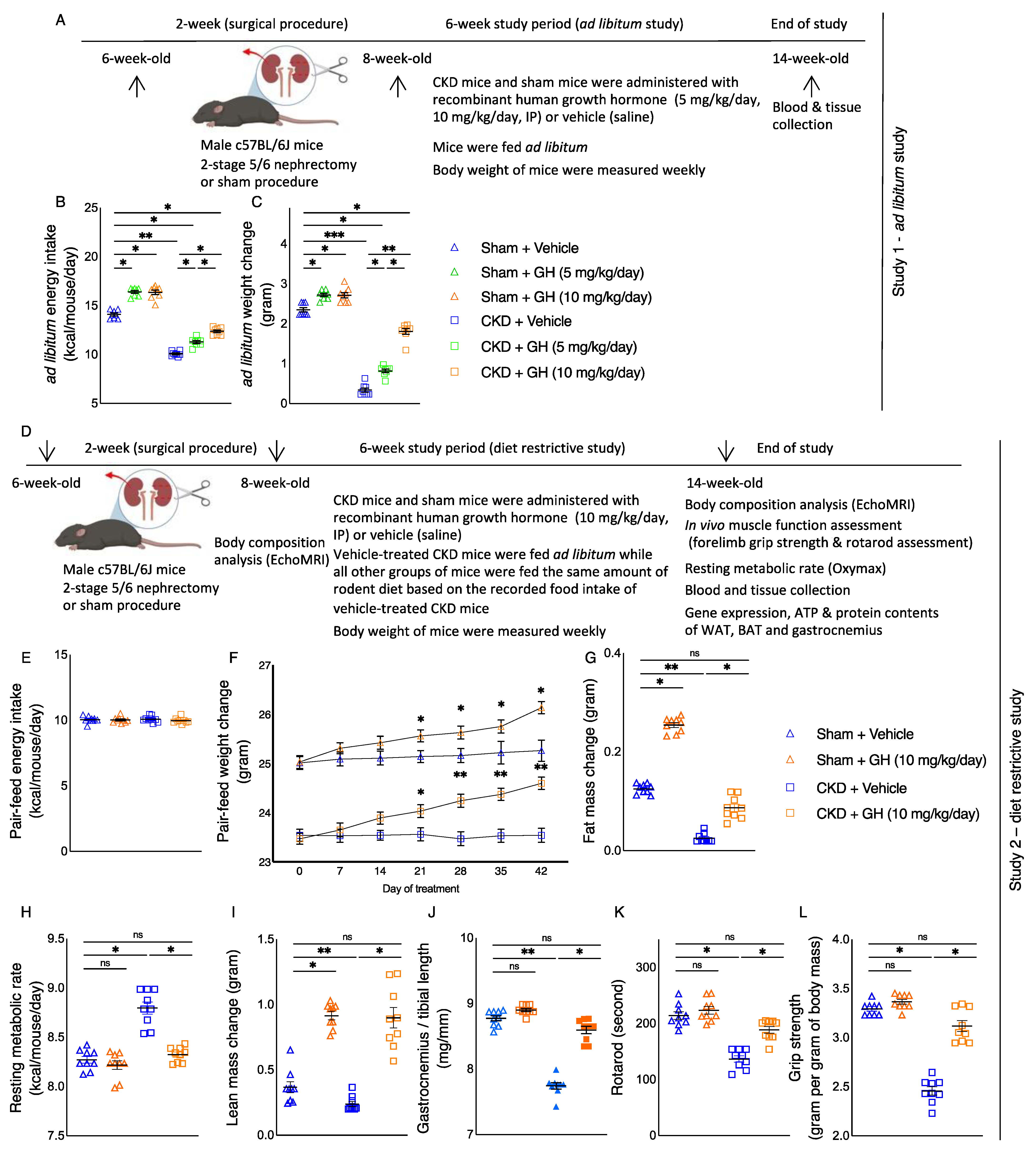 Ijms 23 15310 g001 Ijms 23 15310 g001