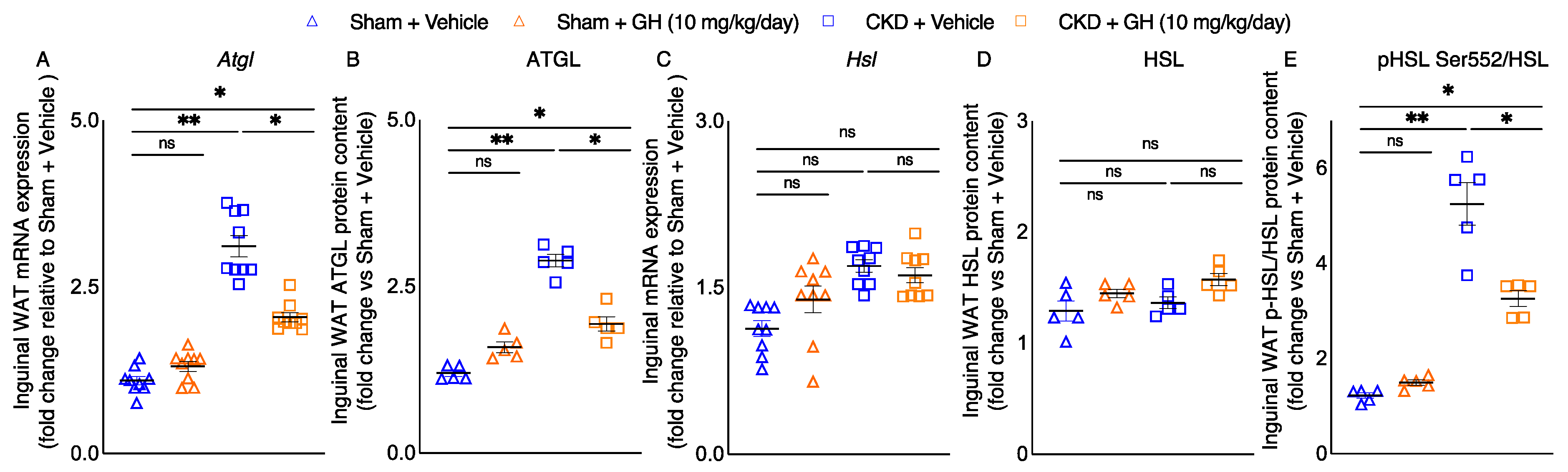 Ijms 23 15310 g002 Ijms 23 15310 g002