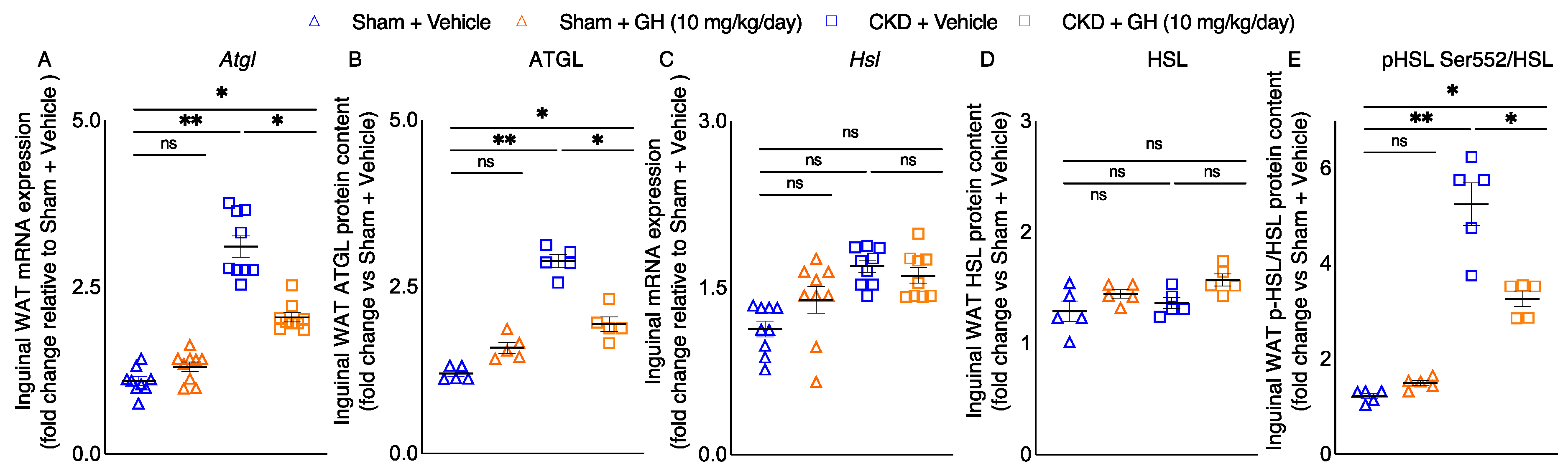 Ijms 23 15310 g003 Ijms 23 15310 g003