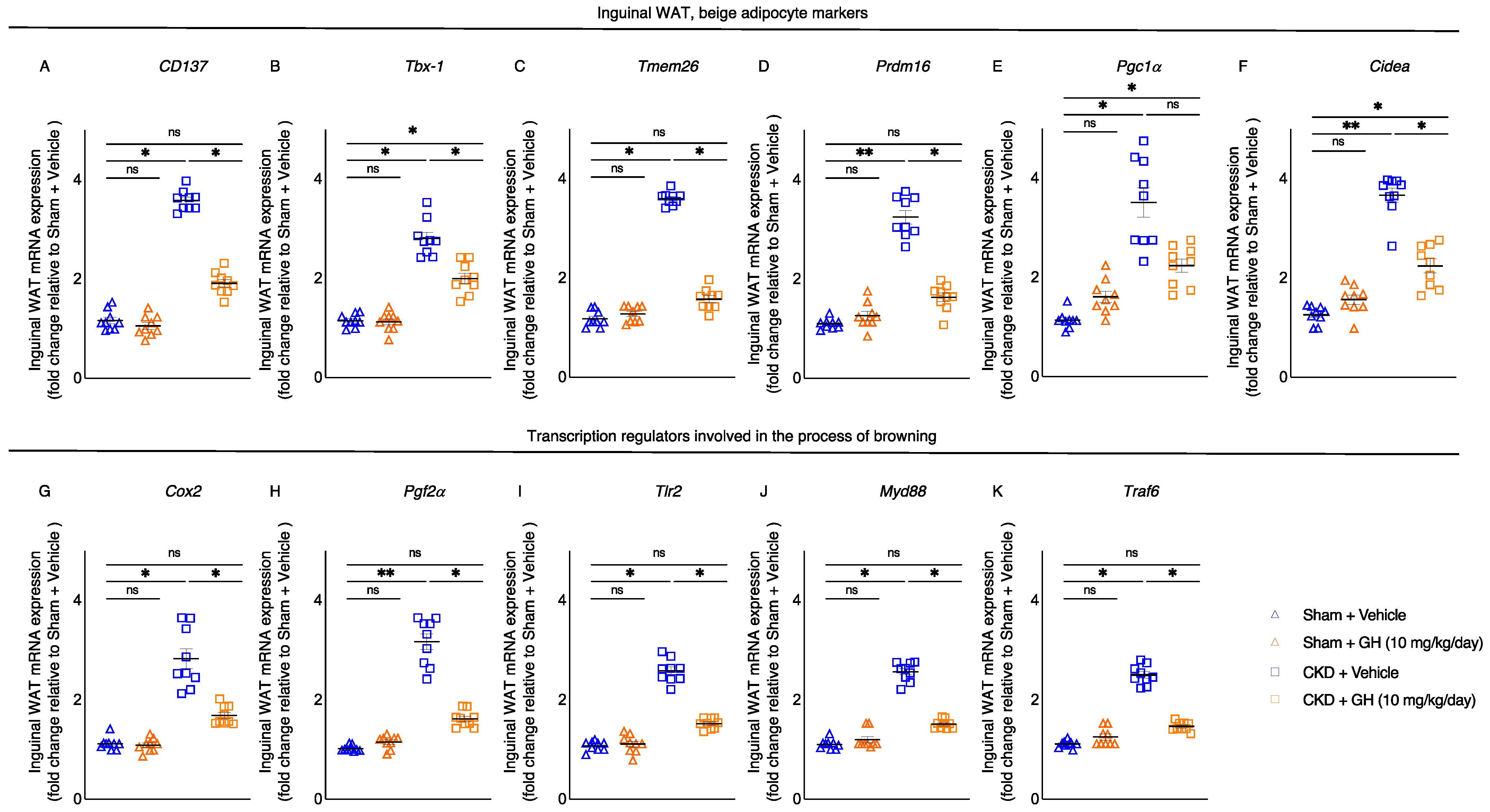 Ijms 23 15310 g004 Ijms 23 15310 g004