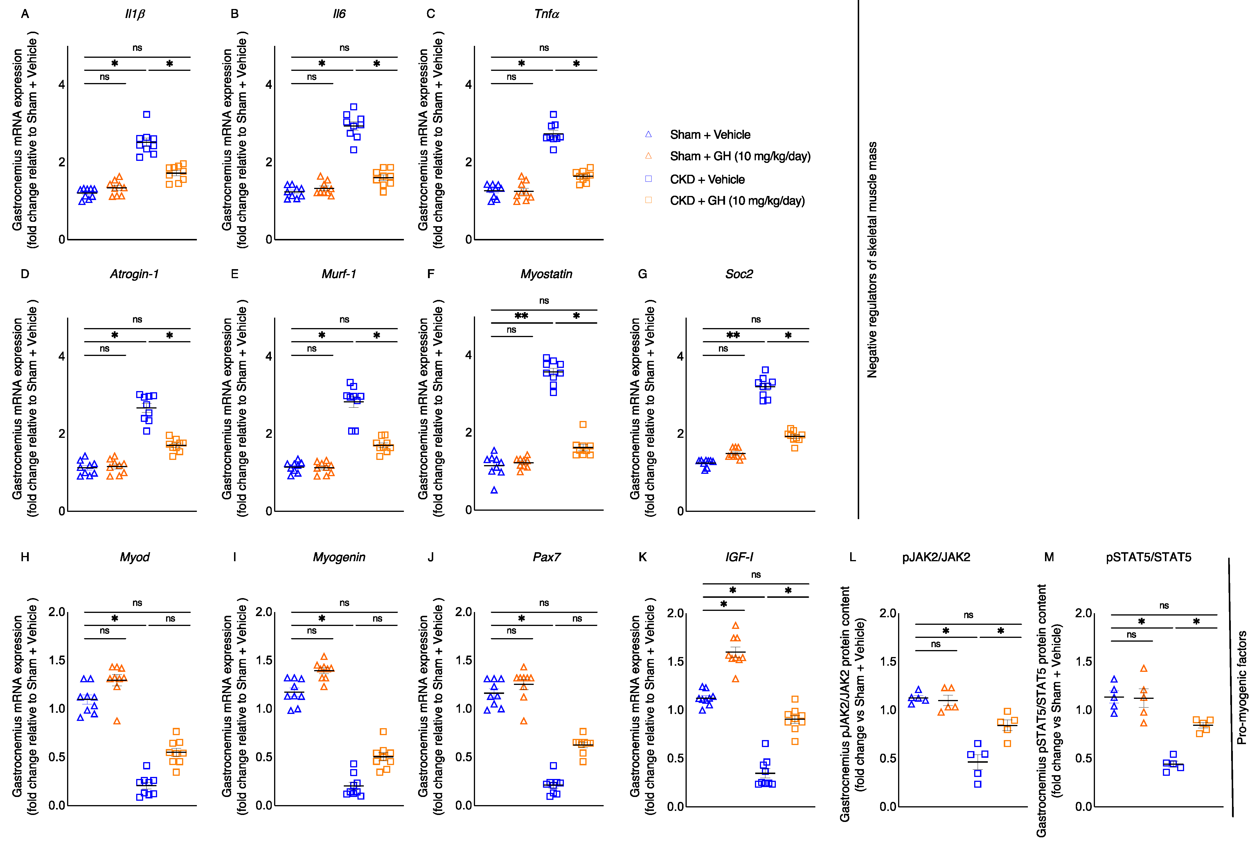Ijms 23 15310 g005 Ijms 23 15310 g005