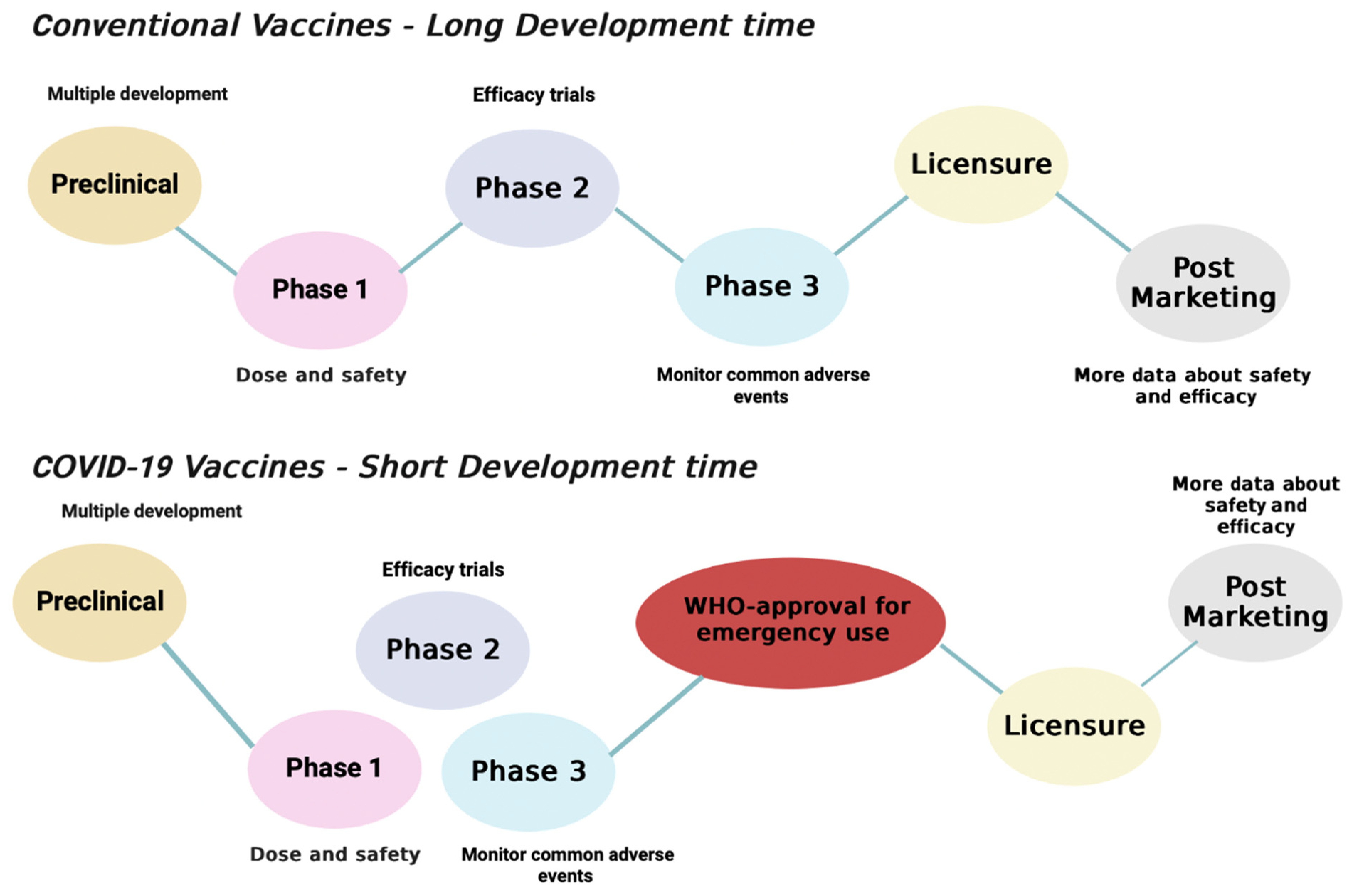 IJMS | Free Full-Text | COVID-19 Vaccines, Effectiveness, and Immune