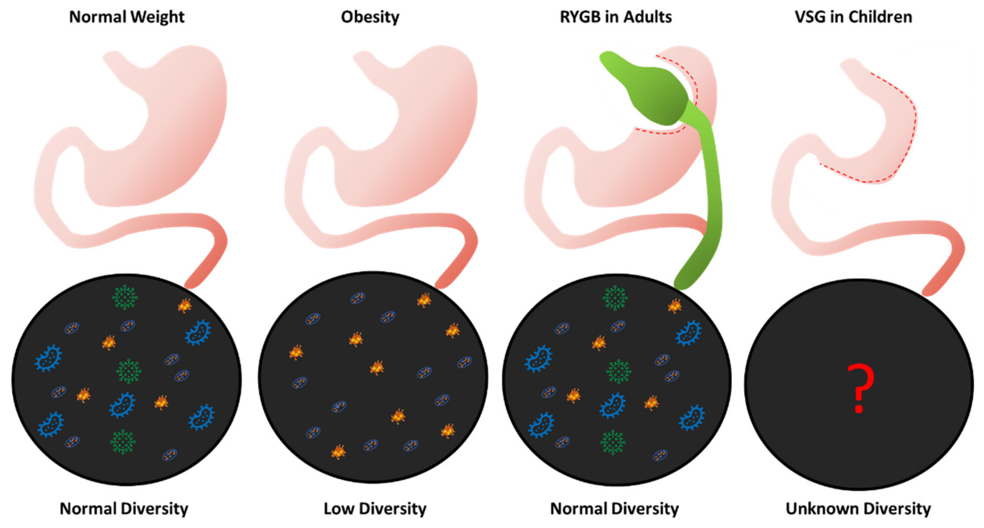 Ijms 23 15421 g002 Ijms 23 15421 g002