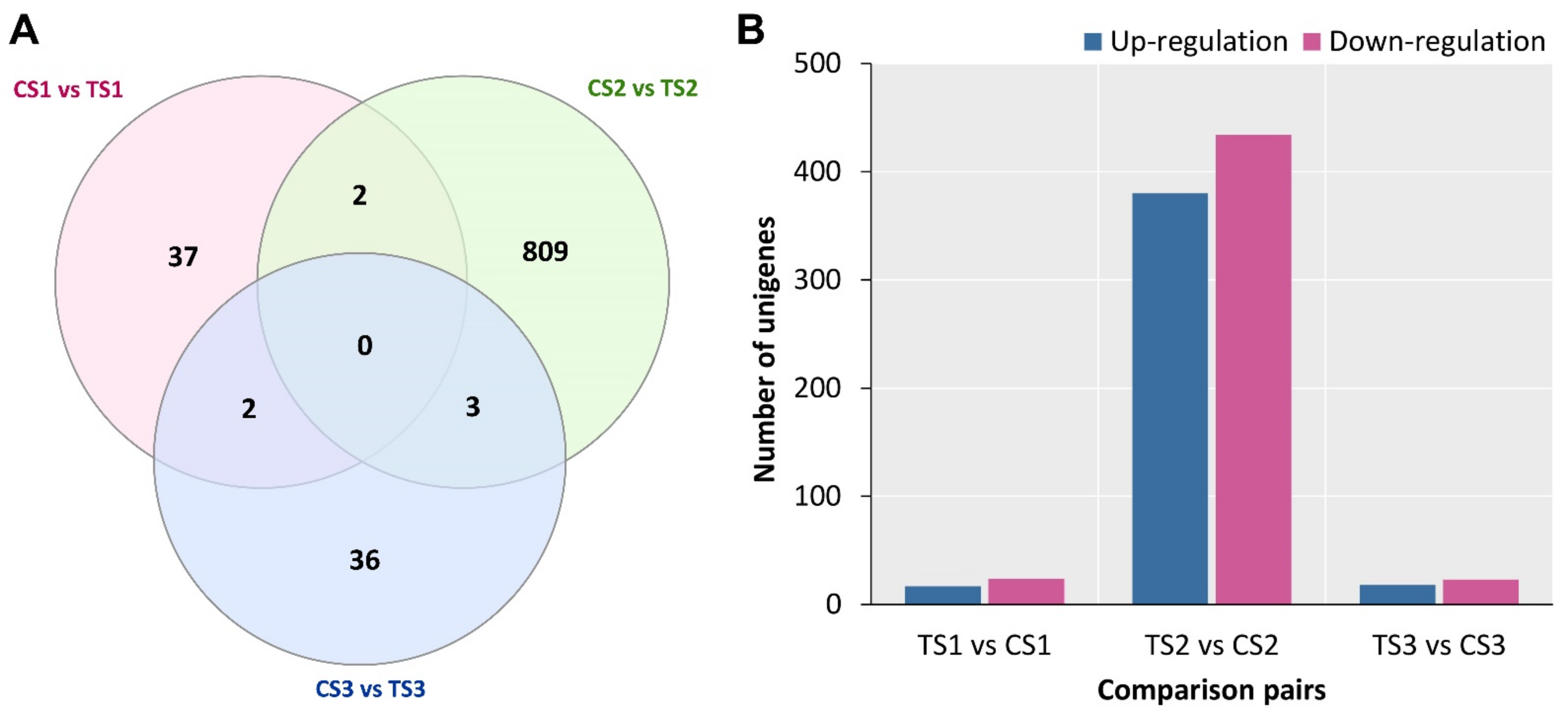 IJMS | Free Full-Text | Comparative Transcriptome Analysis Unveils the ...
