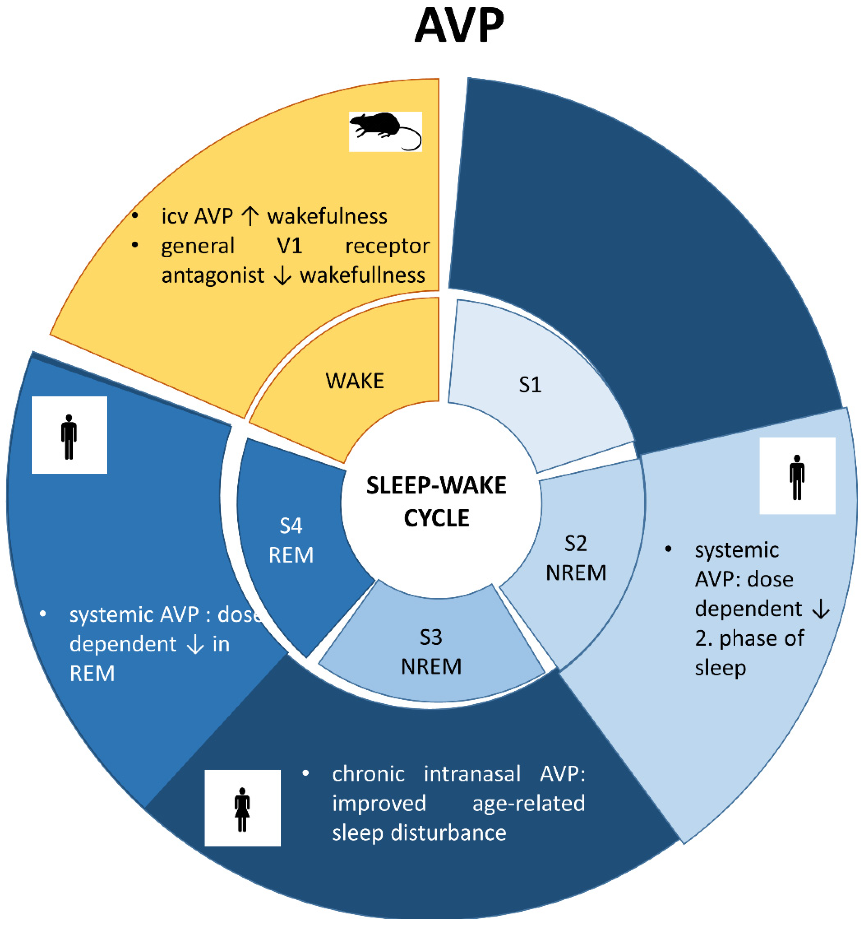 Ijms 23 15467 g003 Ijms 23 15467 g003