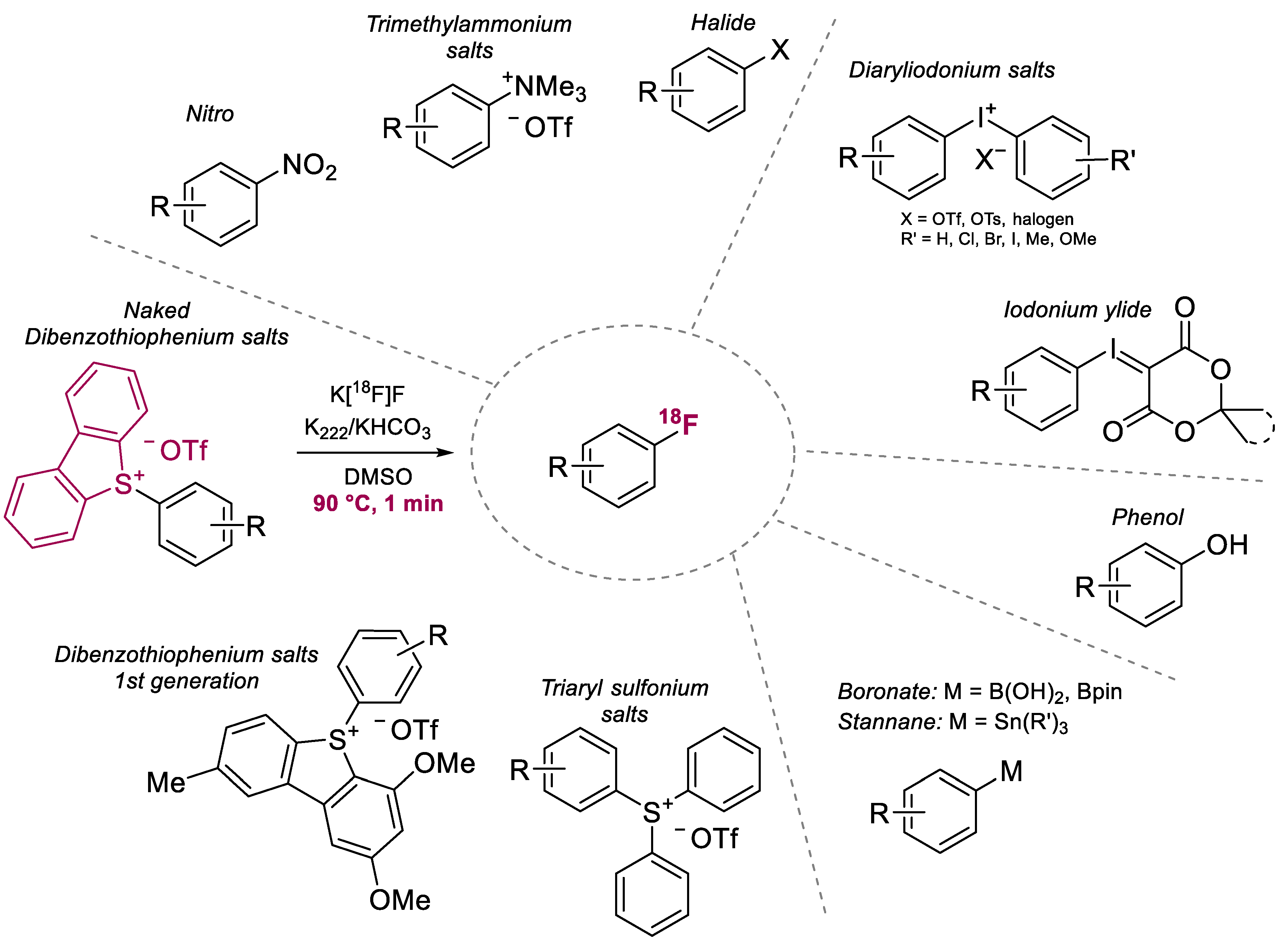 Ijms 23 15481 sch001 Ijms 23 15481 sch001
