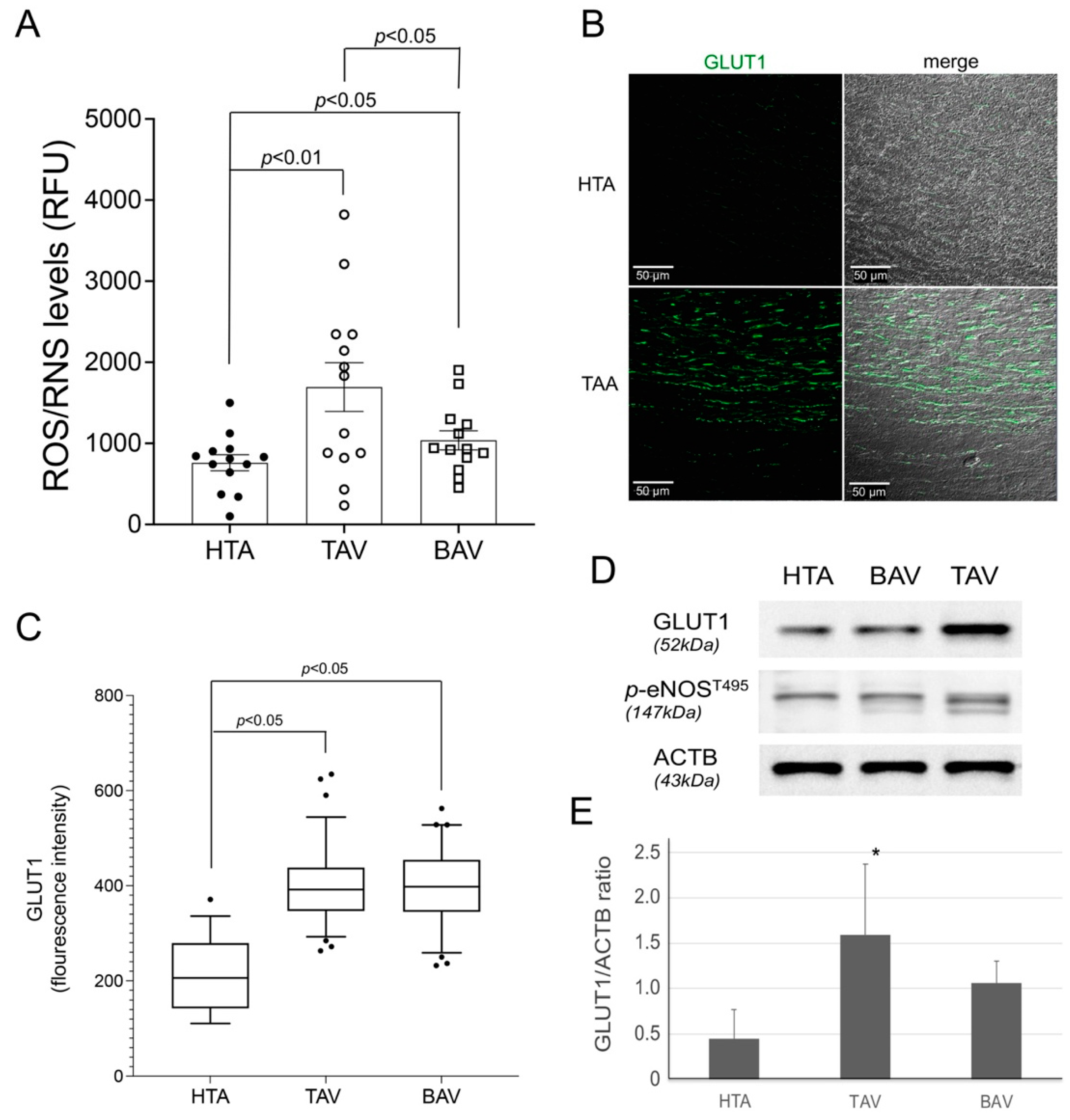 Ijms 23 15498 g002 Ijms 23 15498 g002