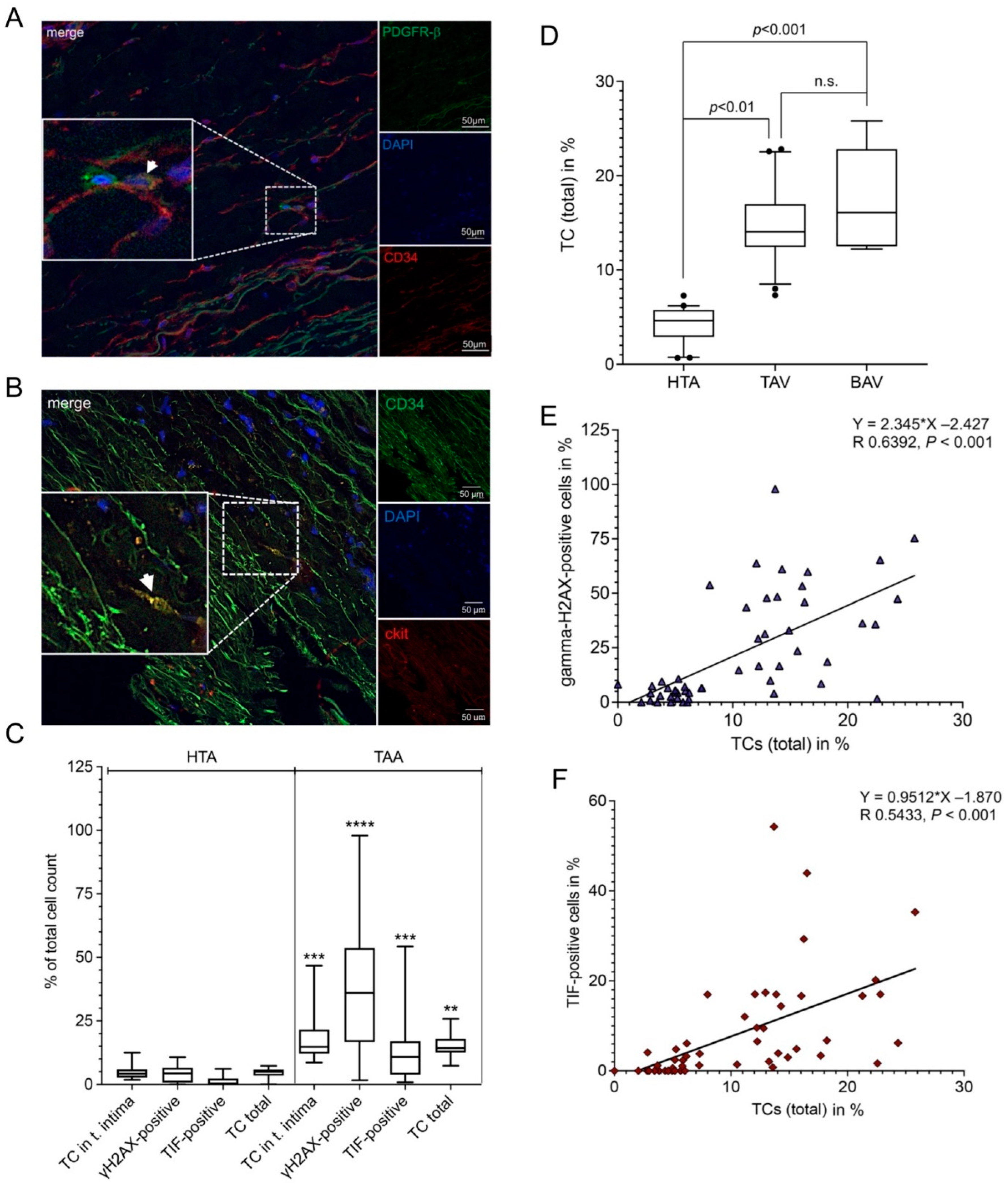 Ijms 23 15498 g005 Ijms 23 15498 g005